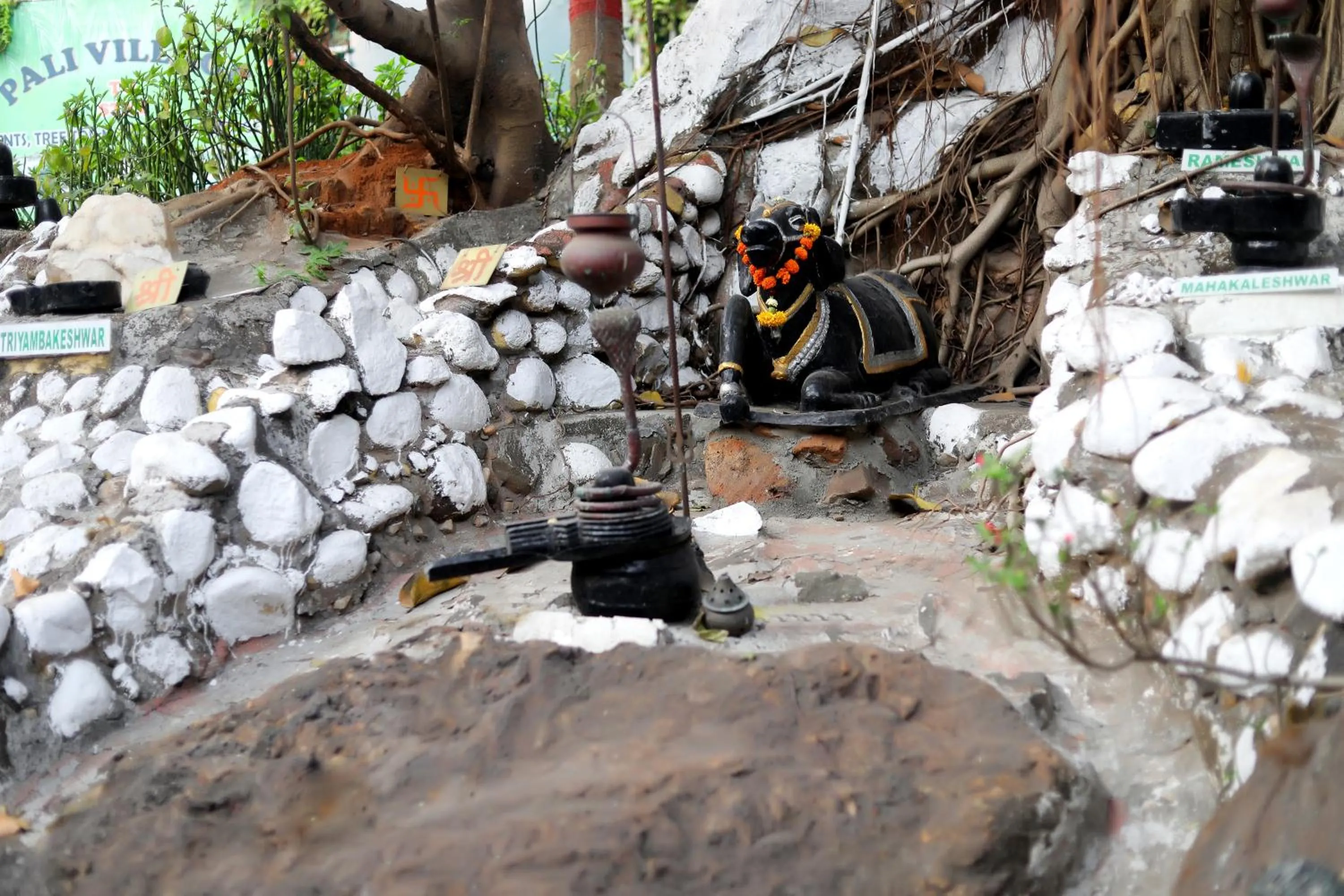 Property building in Pali Village Resort