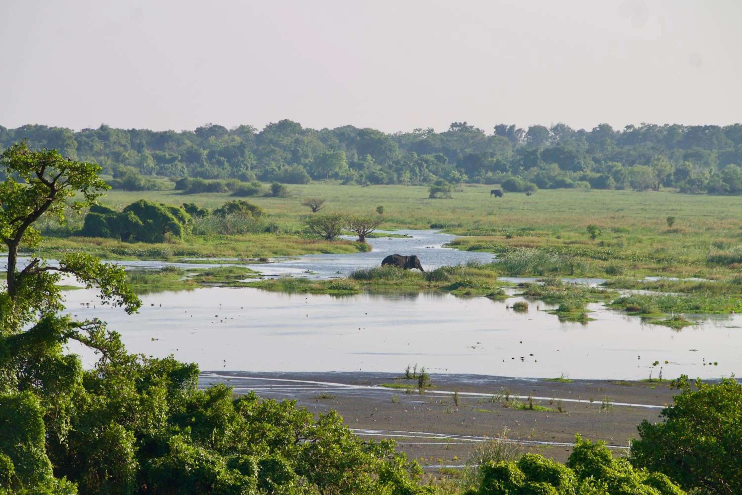 Activities in Stay Golden