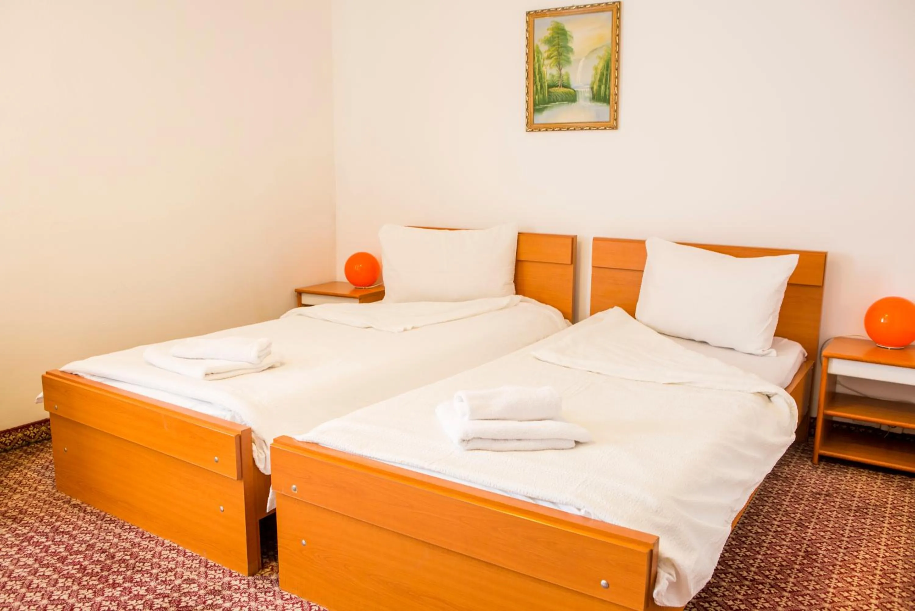 Hotel Darina