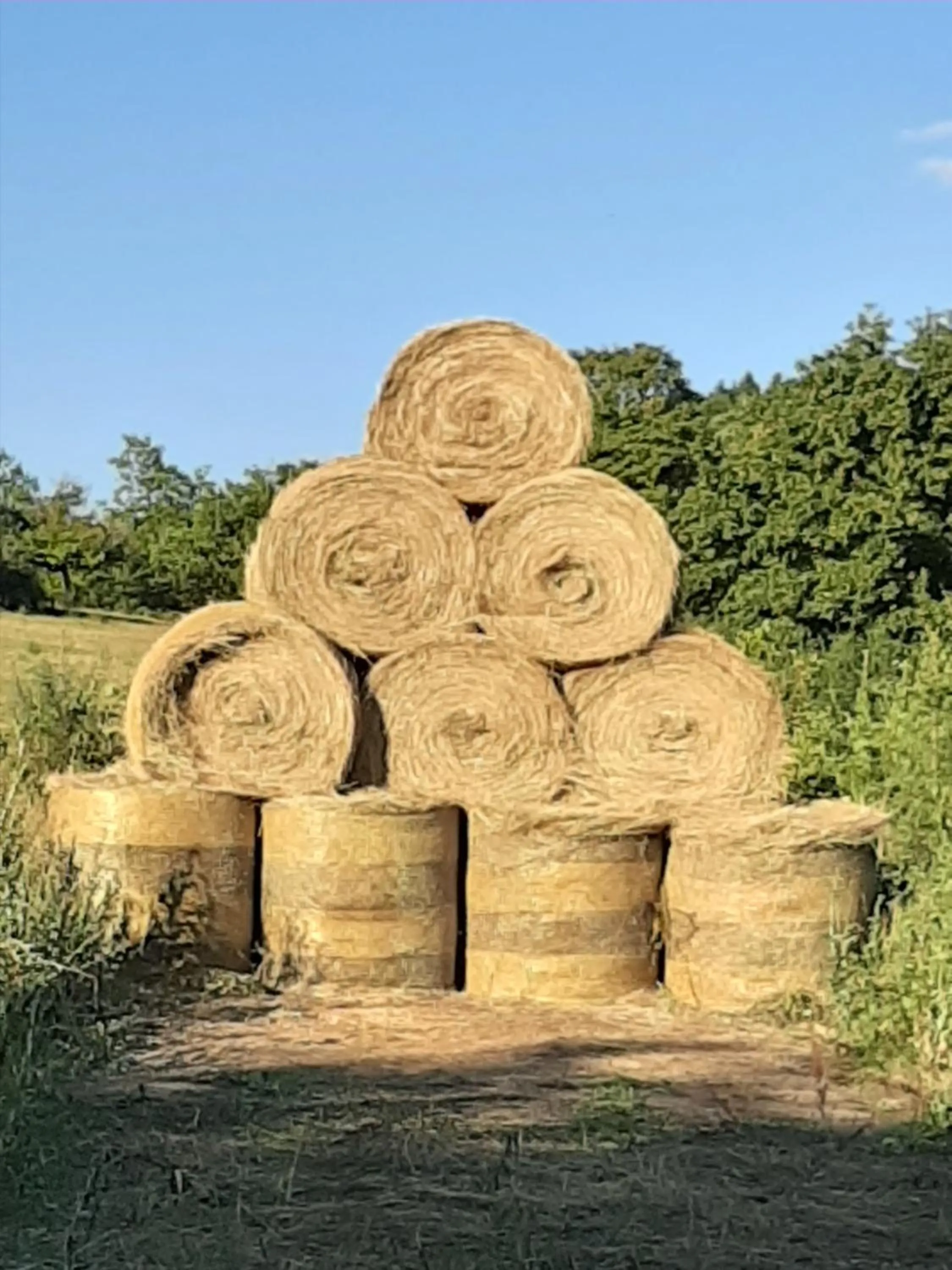 Off site in Le Grand Noyer