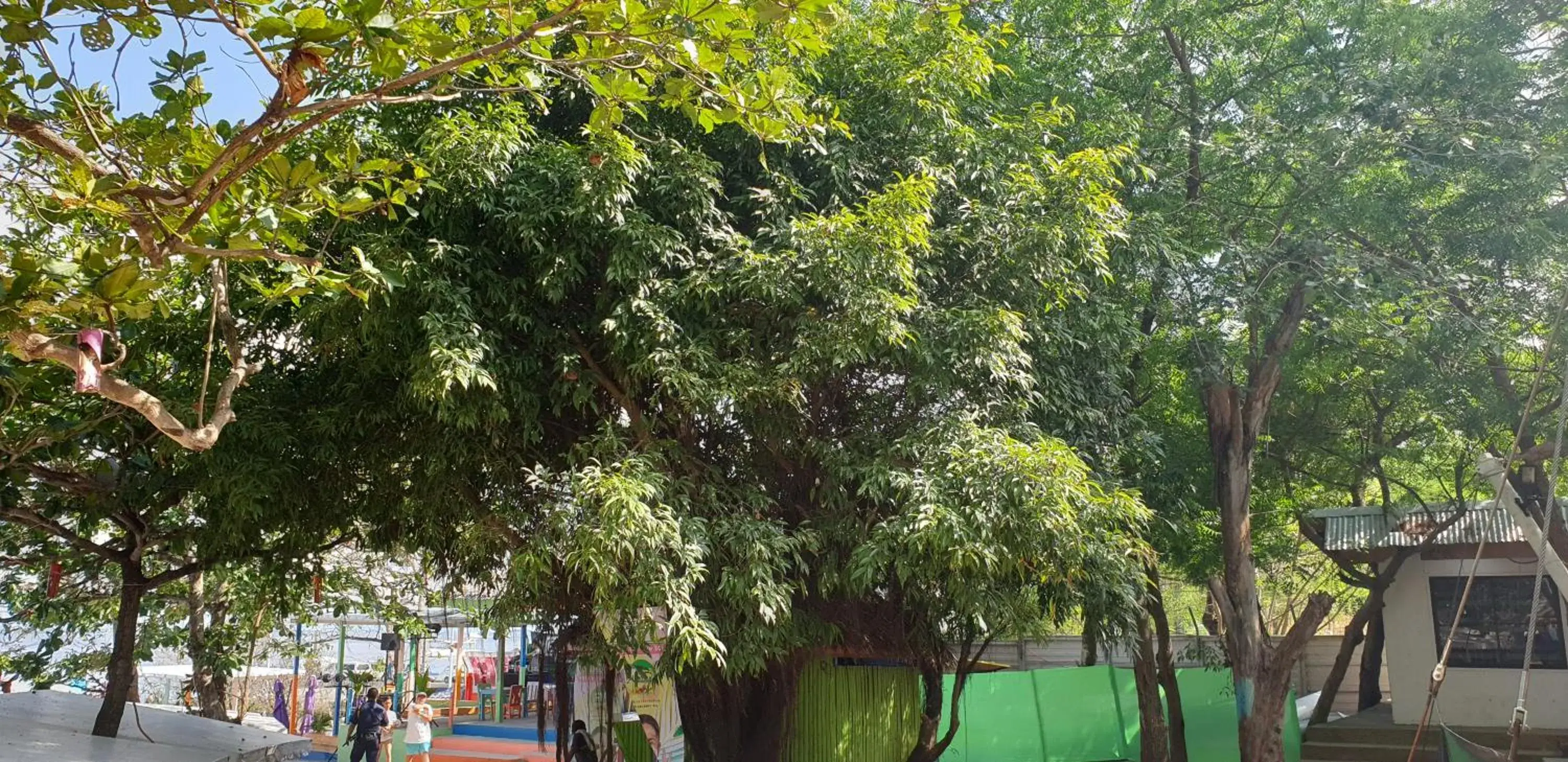 Mactan Newtown Condo with Garden and Ocean View 8NEWTOWN BLVD Mactan Newtown Condo with Garden and Ocean View 8NEWTOWN BLVD