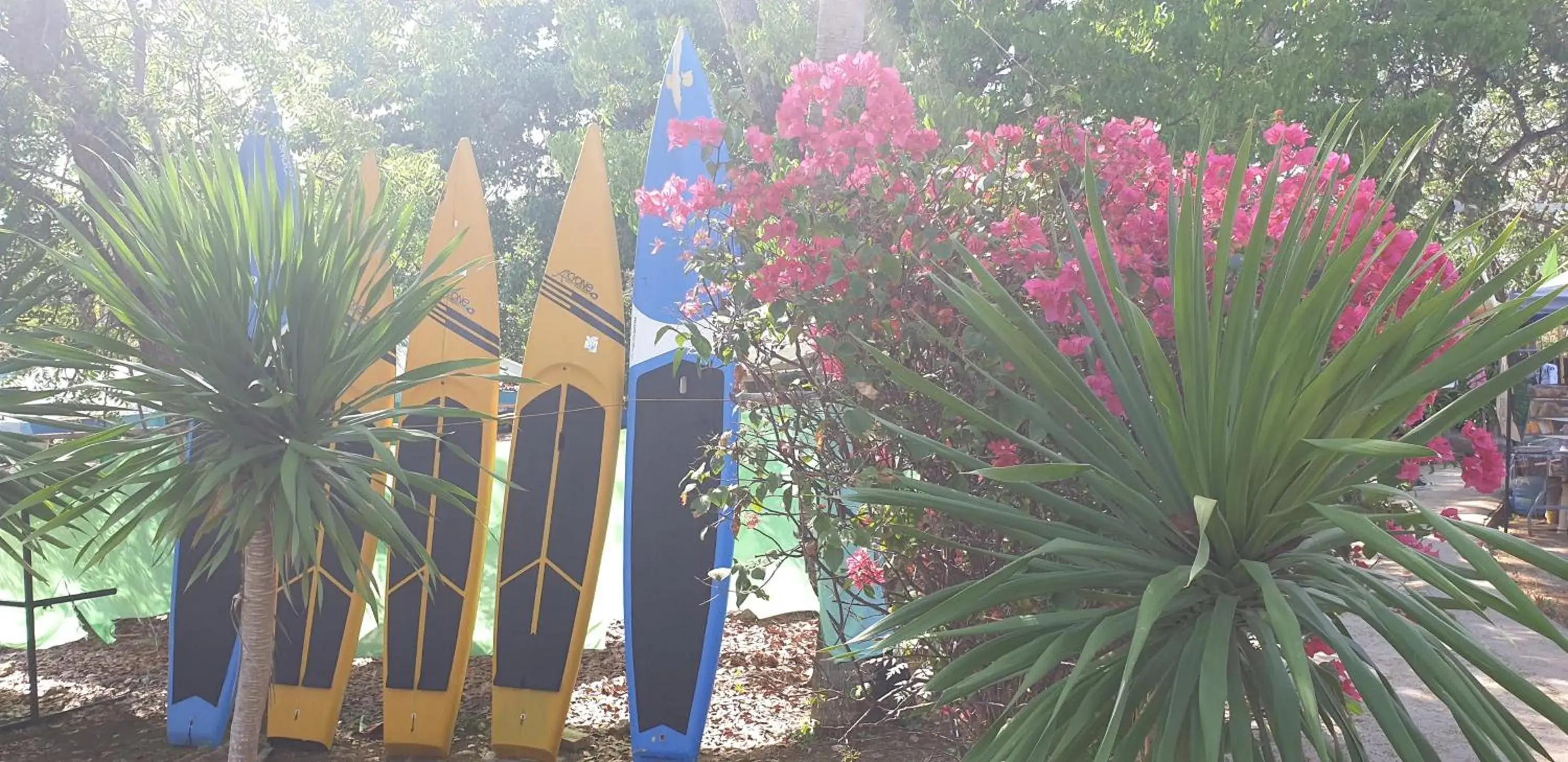 Mactan Newtown Condo with Garden and Ocean View 8NEWTOWN BLVD Mactan Newtown Condo with Garden and Ocean View 8NEWTOWN BLVD