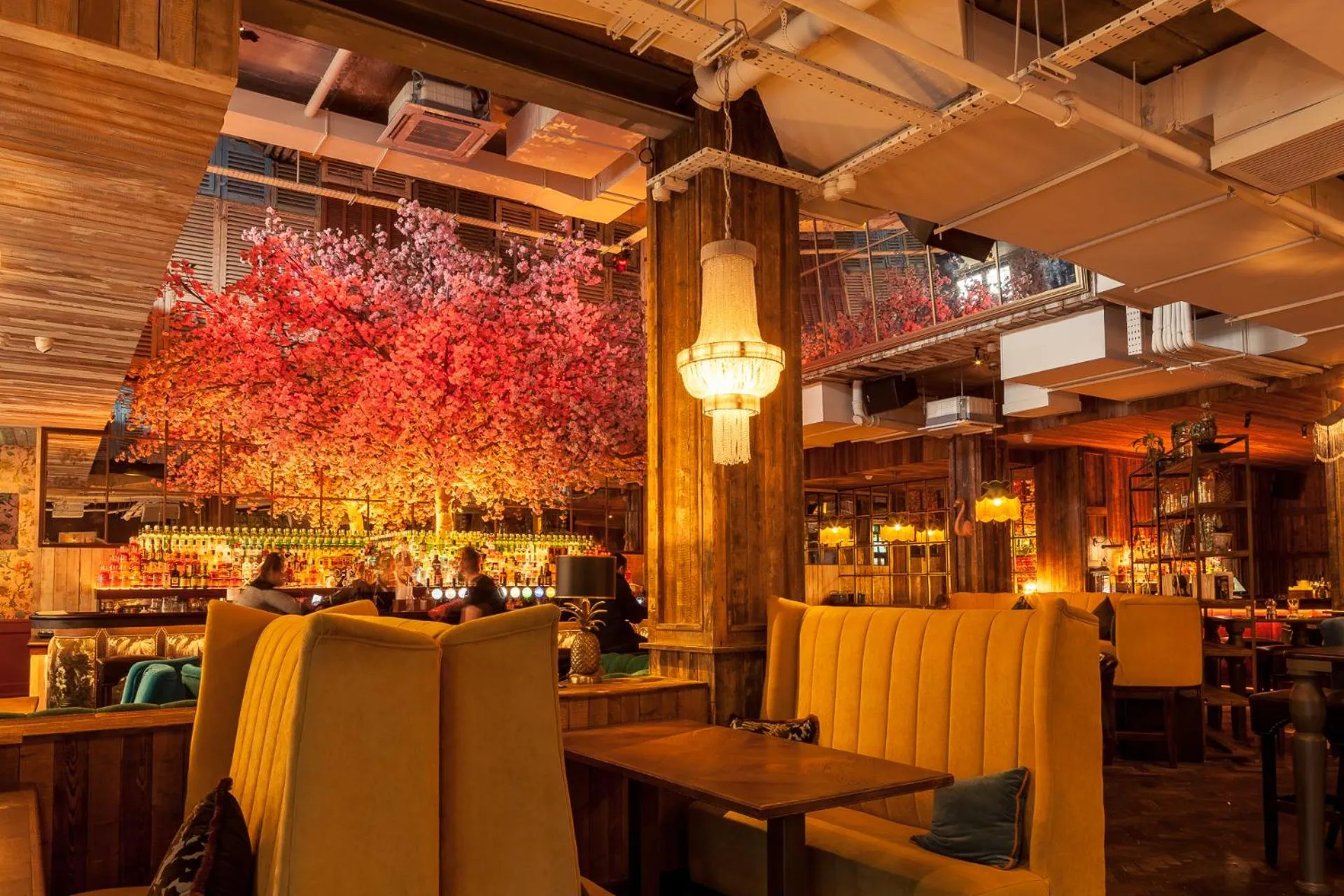 Restaurant/places to eat in House Belfast Hotel