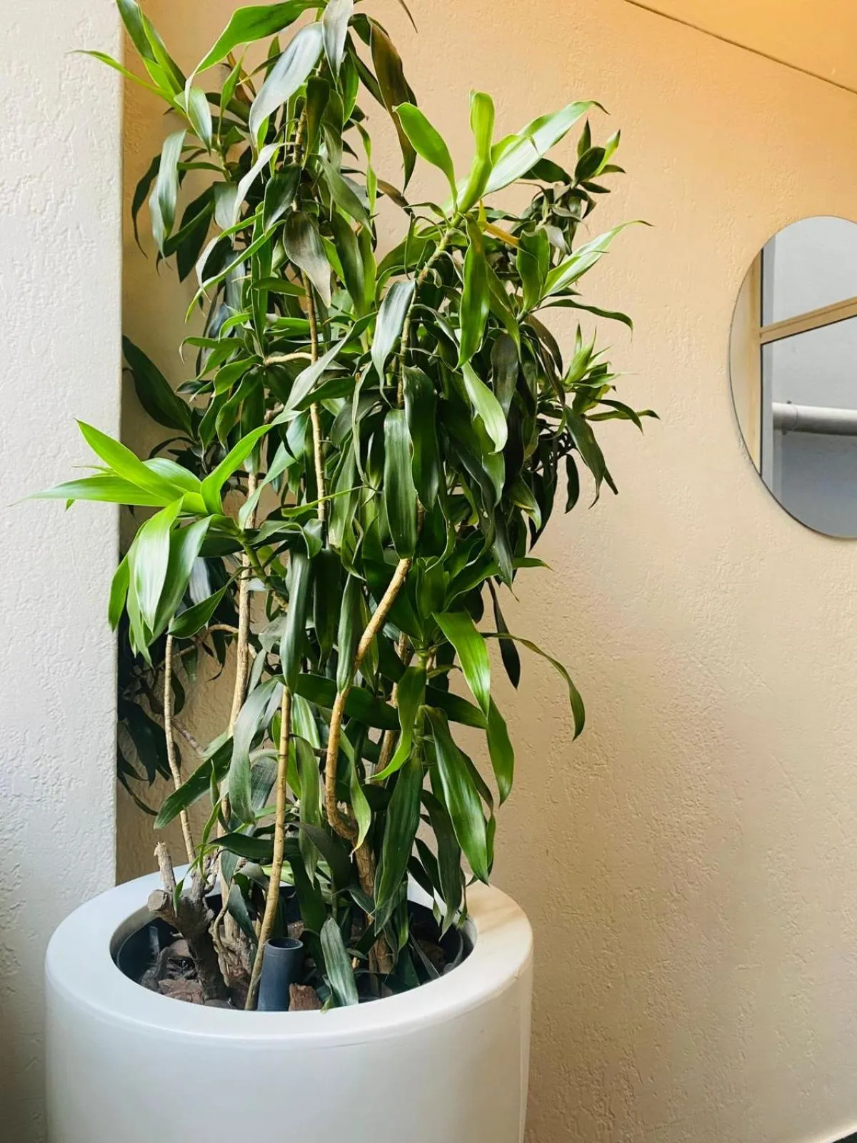 Other in Bayside Hotel 97 Russell Street