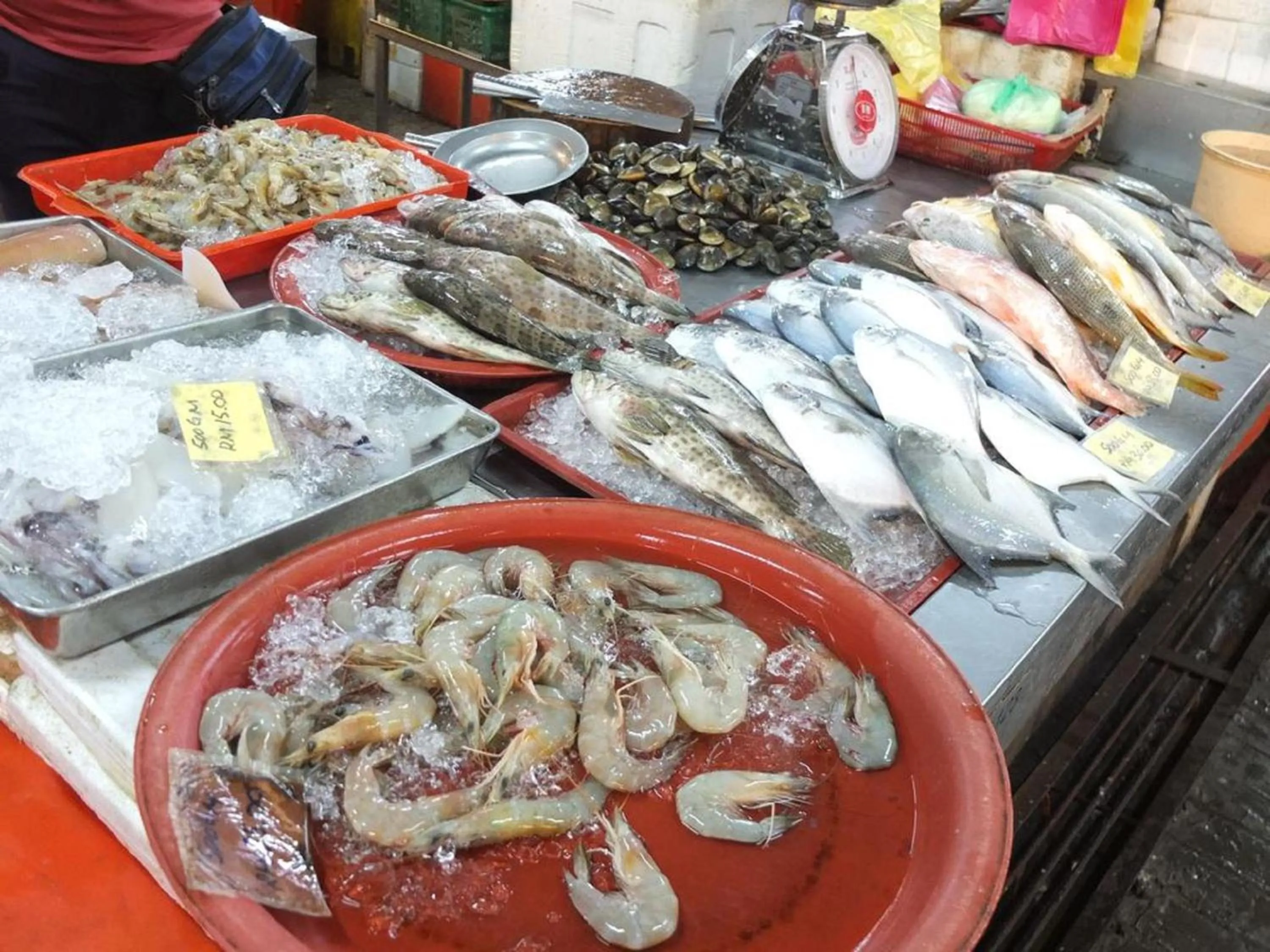 Supermarket/grocery shop in Minima 8