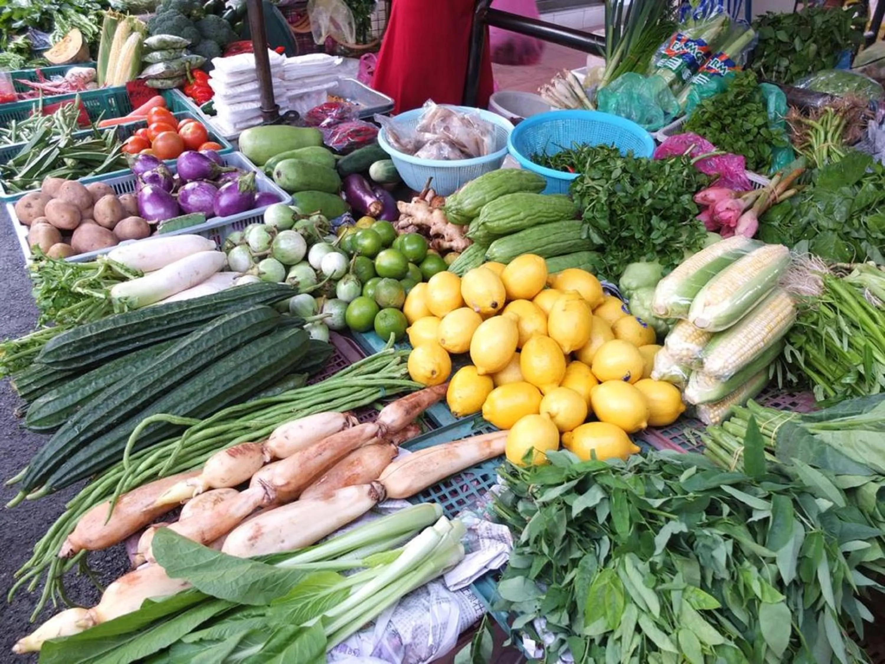 Supermarket/grocery shop in Minima 8