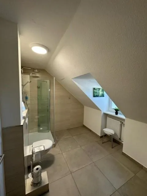 Shower in Hotel Rosenheim