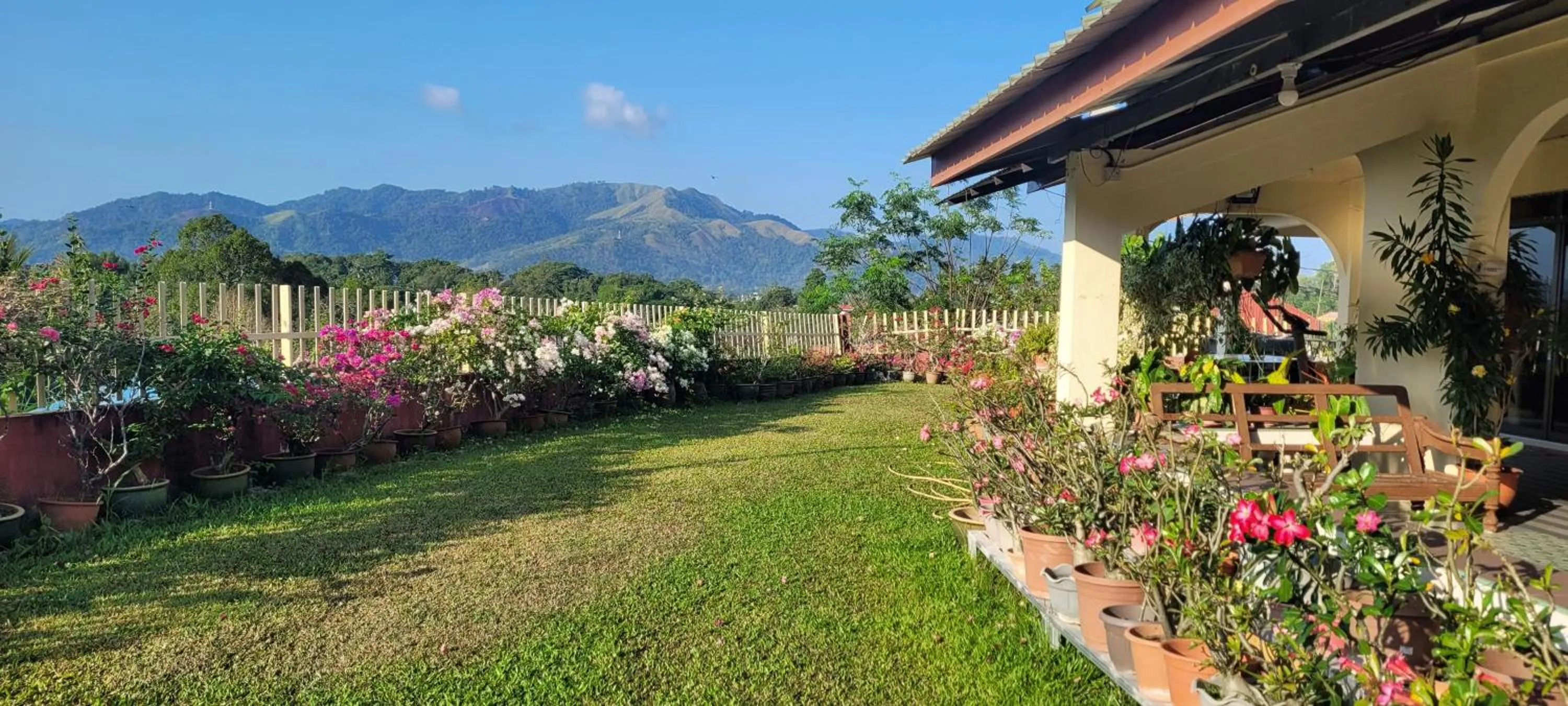 Mountain View Guest House KB