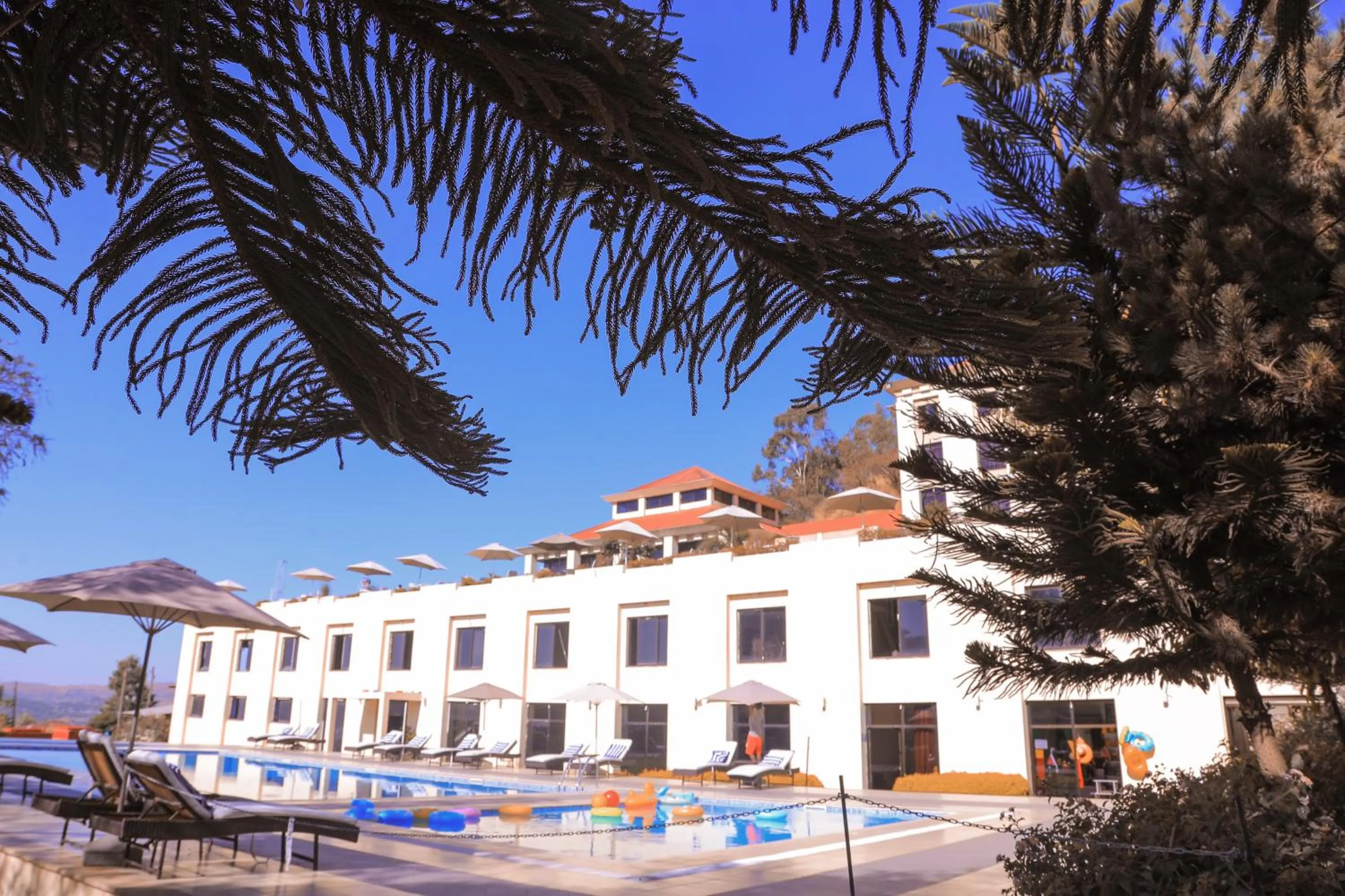 Swimming pool in Haile Resort-Gondar