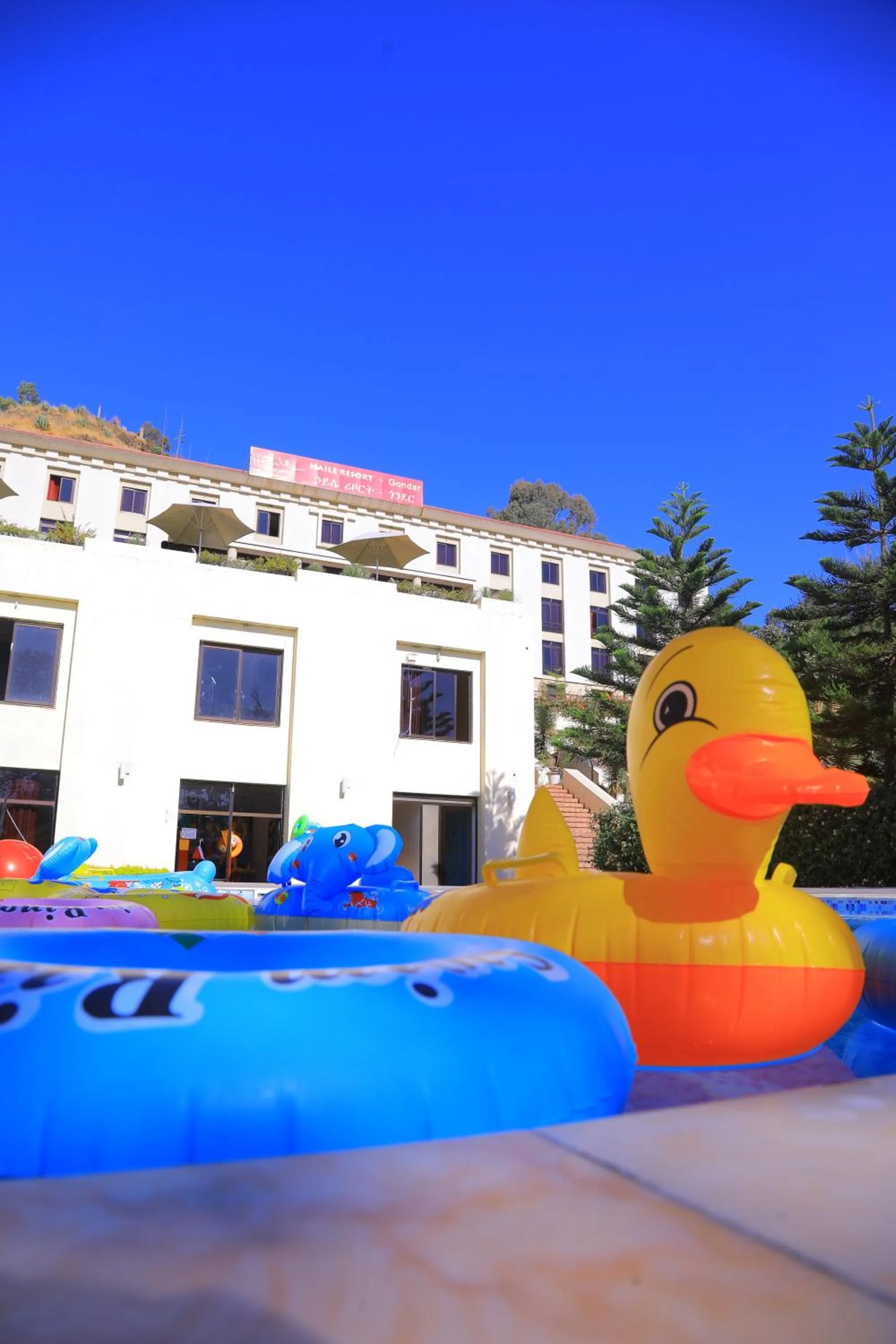 Swimming pool in Haile Resort-Gondar