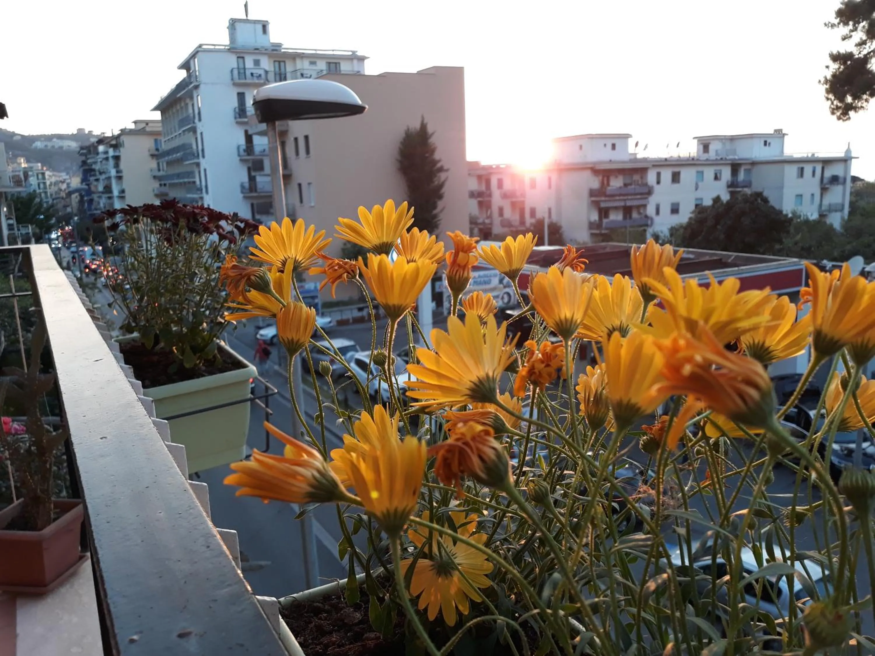 Neighbourhood in Mamma Lucia