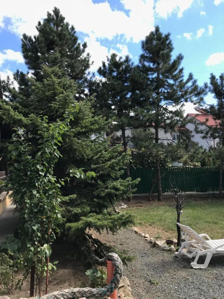 Green Villa