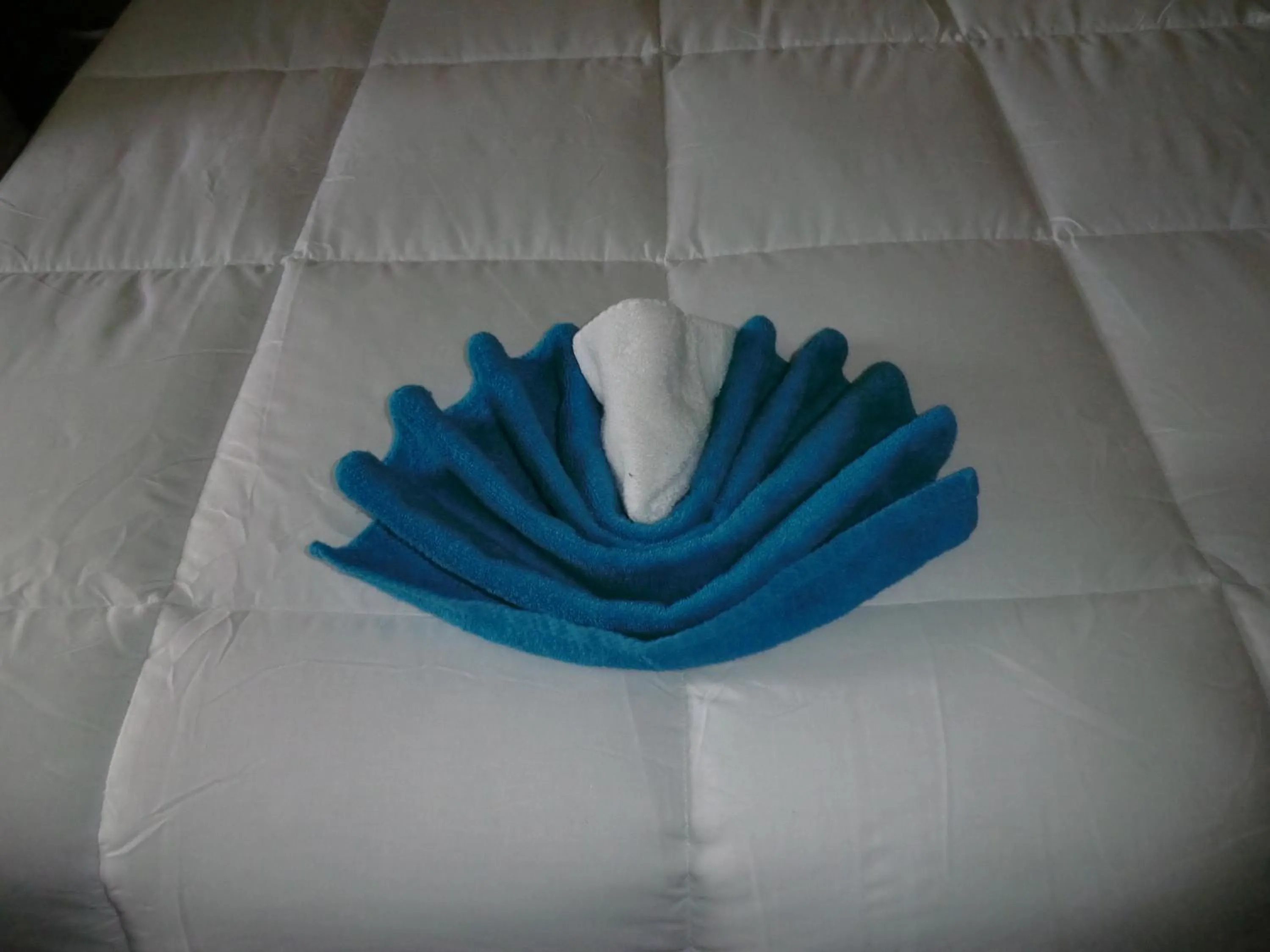 Other, Bed in PG Quality Inn