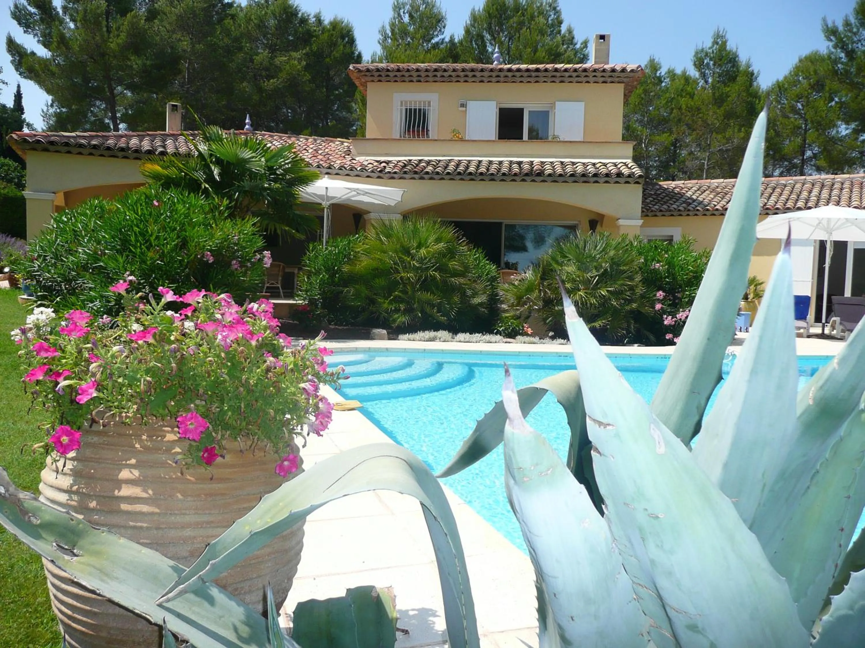 Swimming pool in Les Pitounus