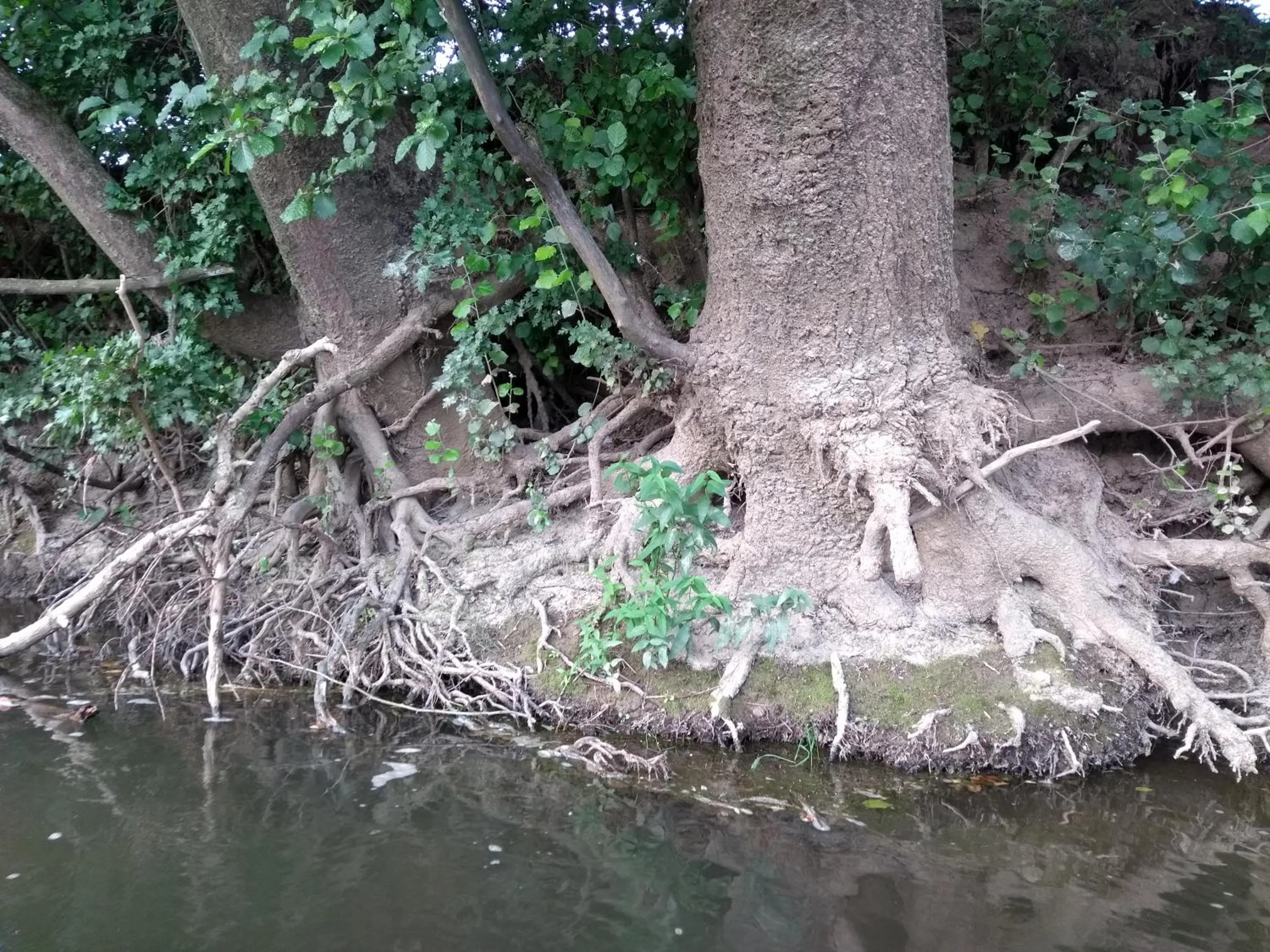 Natural landscape in Chambre d'hôtes L'Ermite