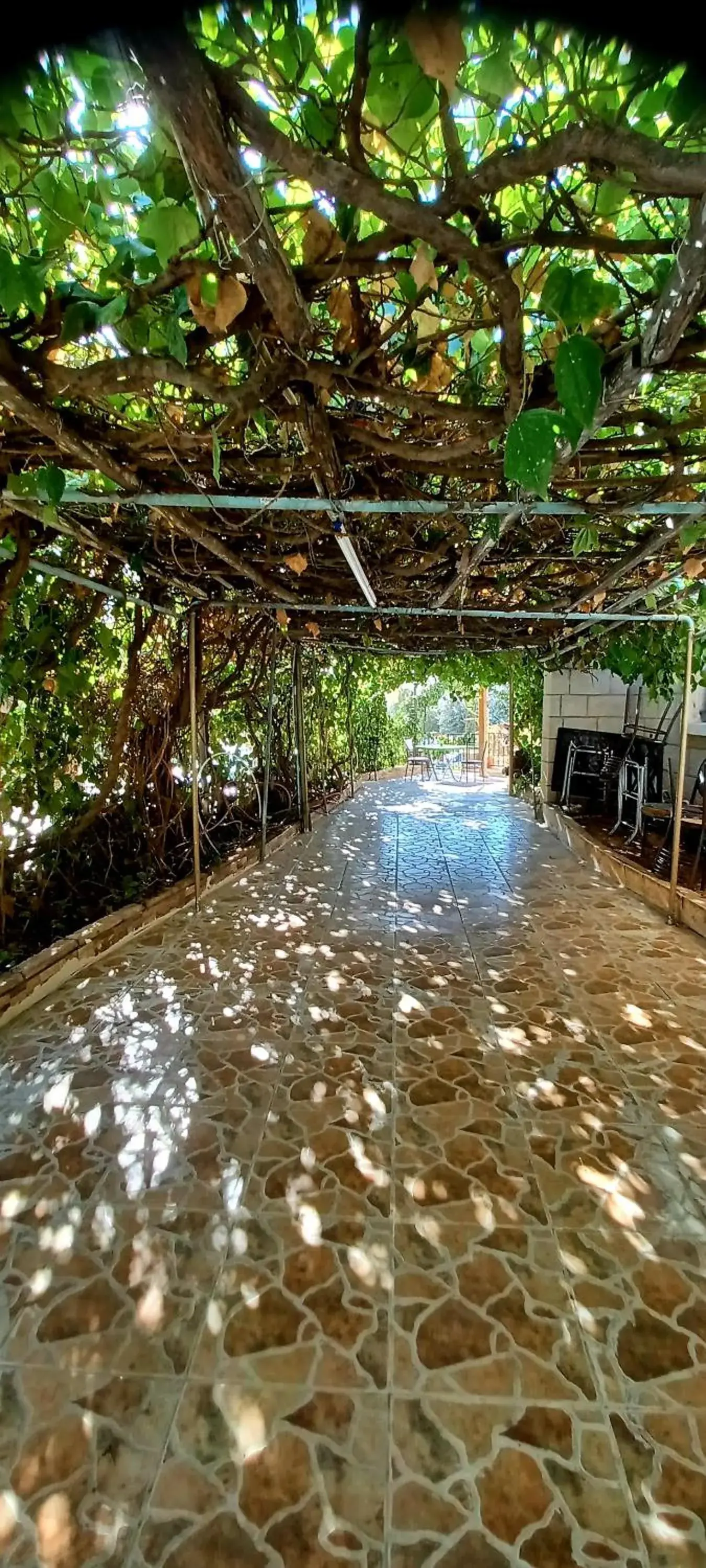 Balcony/Terrace, Swimming Pool in Caravan Hotel