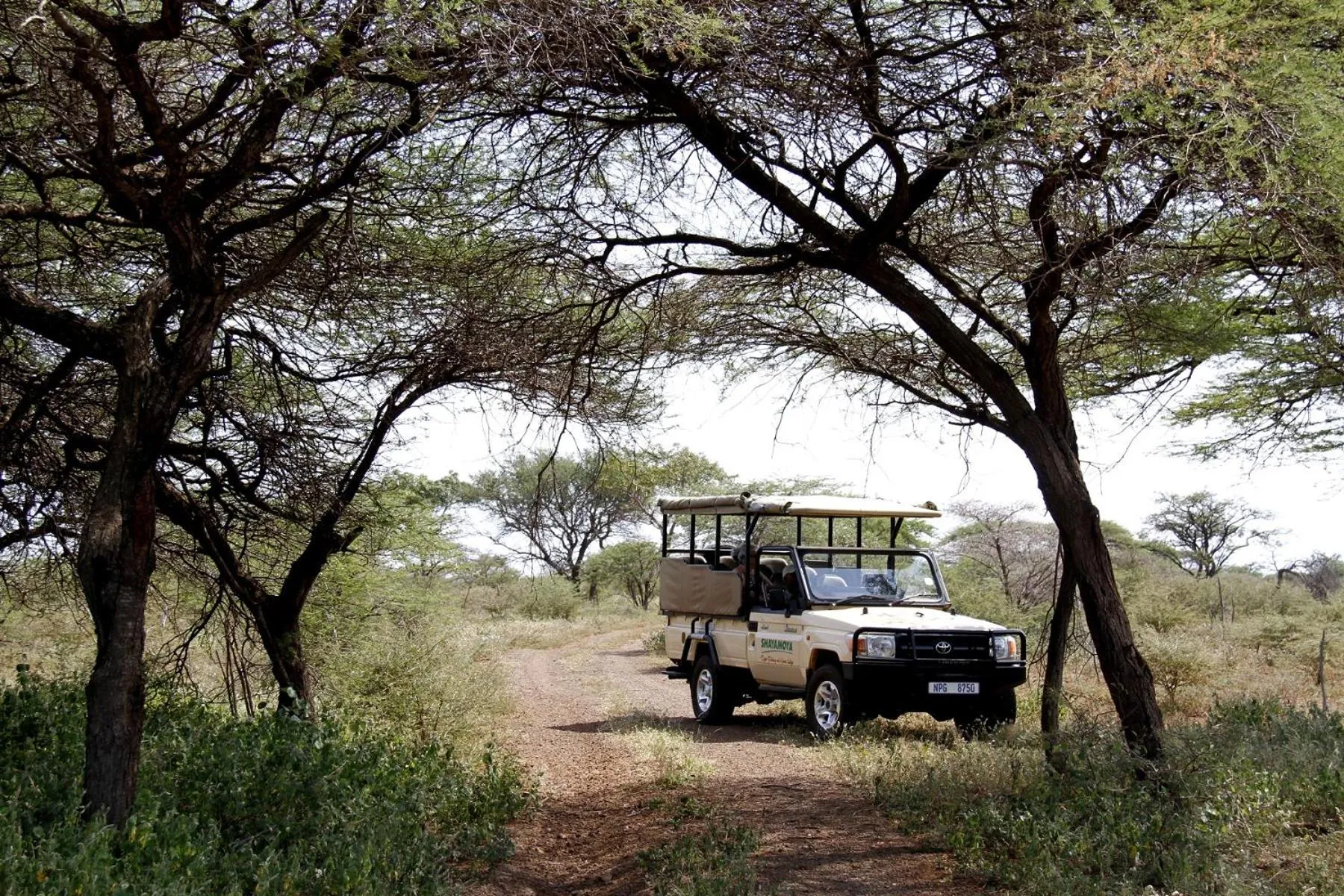 Off site in Shayamoya Tiger Fishing and Game Lodge