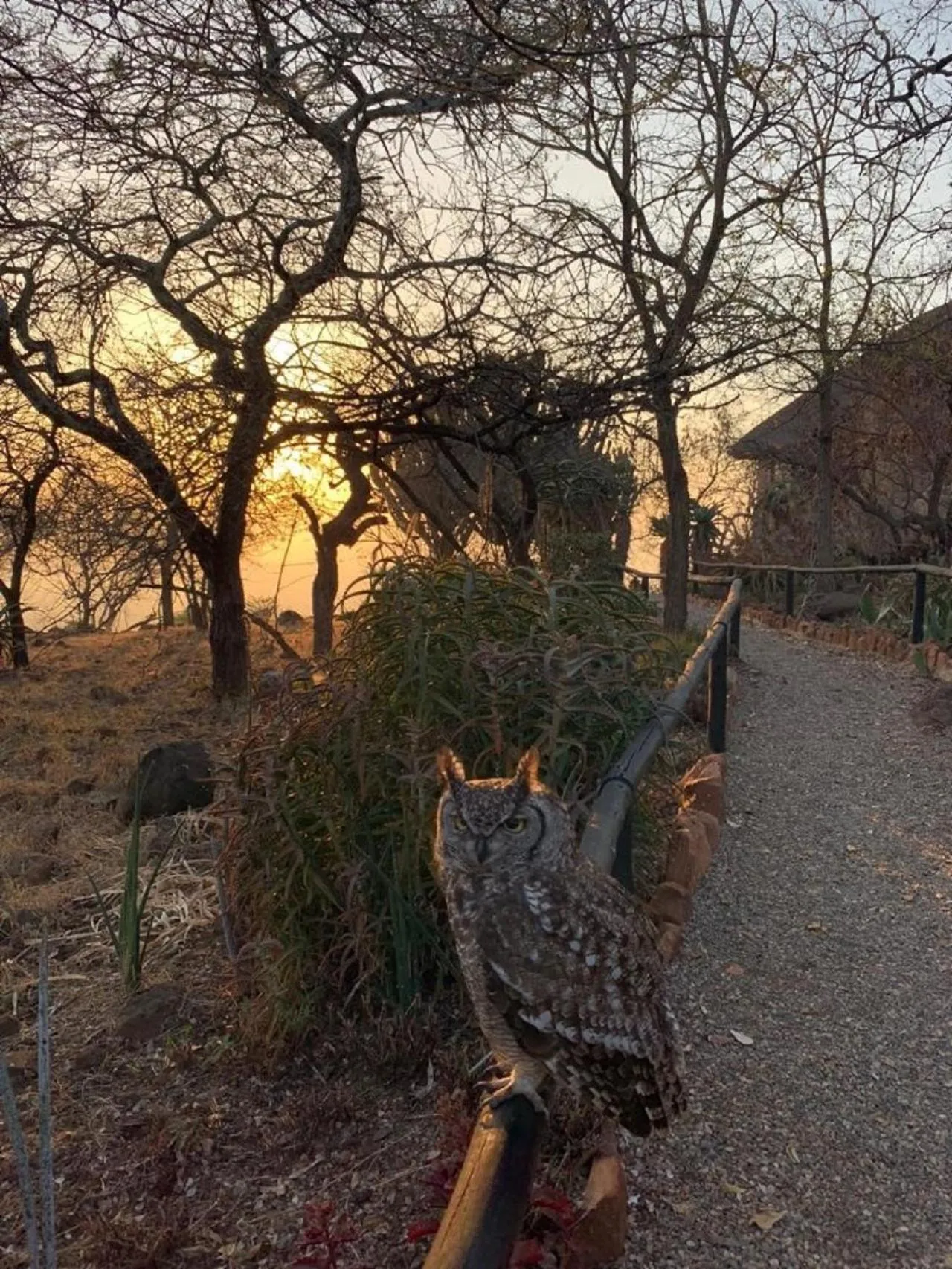 Sunset in Shayamoya Tiger Fishing and Game Lodge