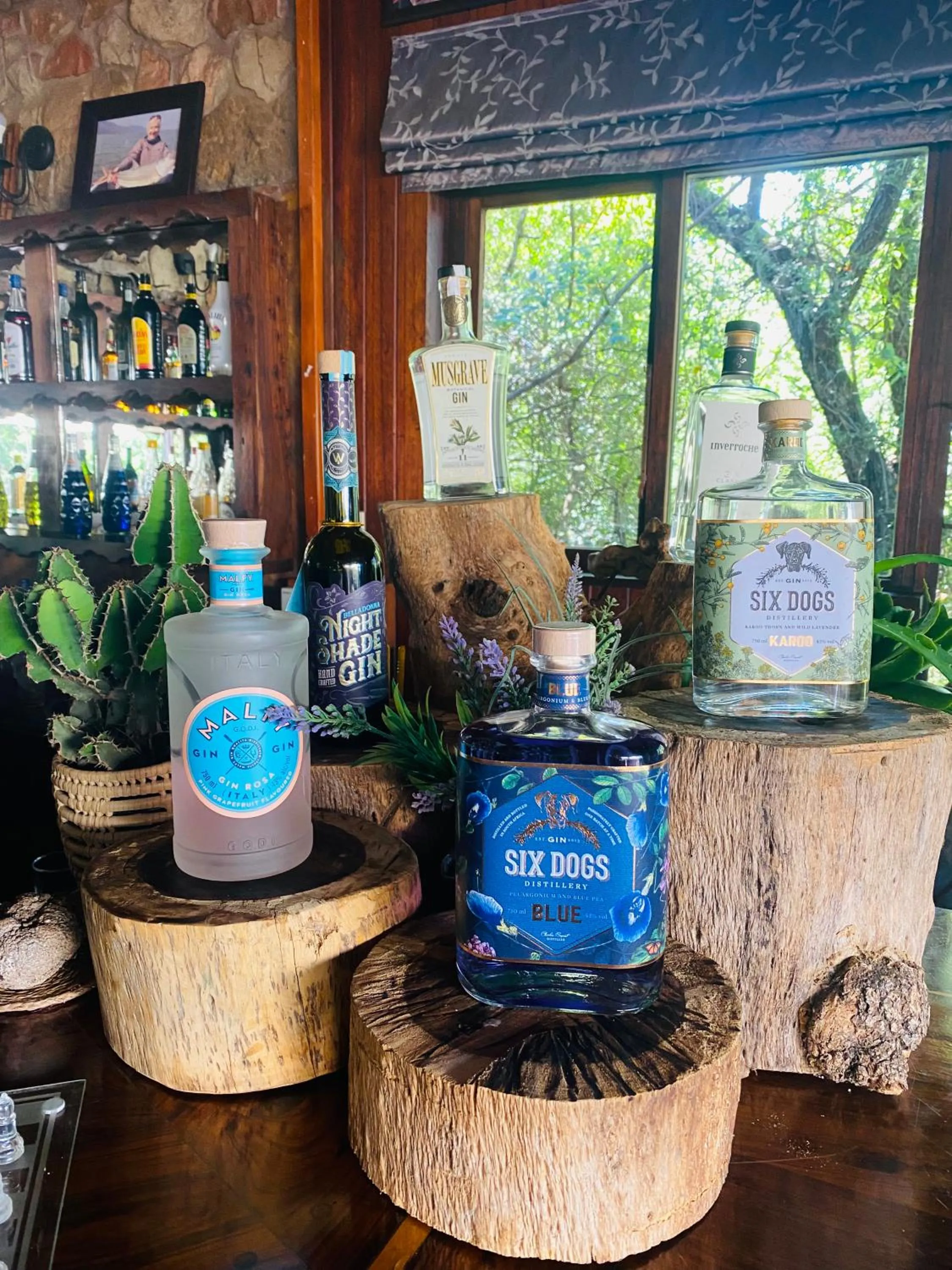 Shayamoya Tiger Fishing and Game Lodge