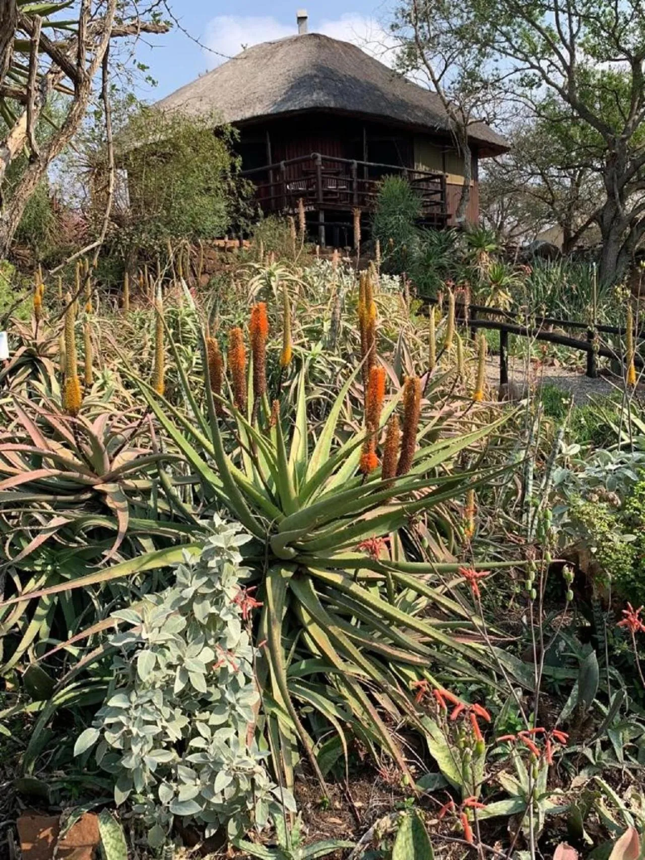 Garden in Shayamoya Tiger Fishing and Game Lodge