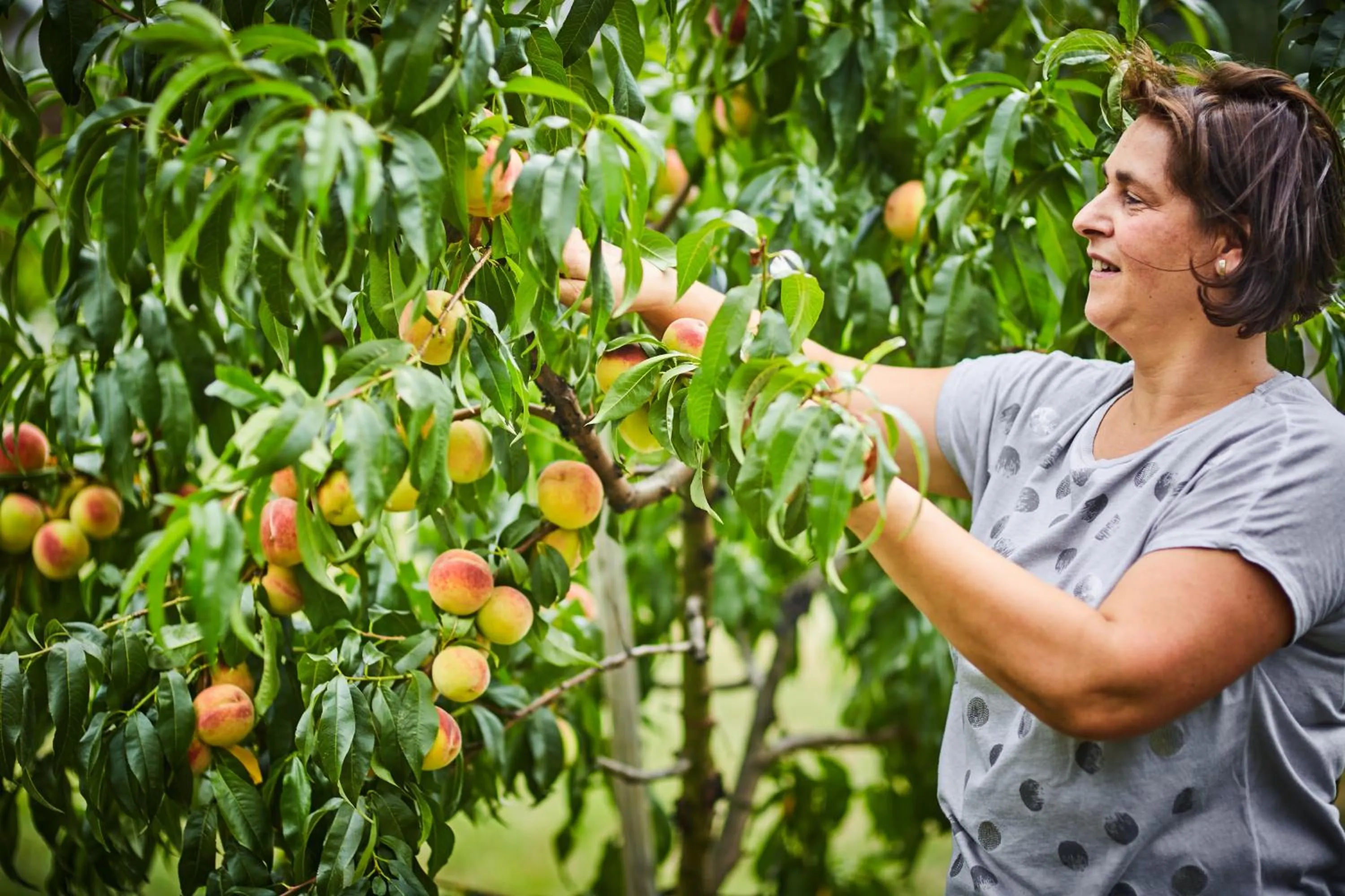Garden in Schmankerl und Gast