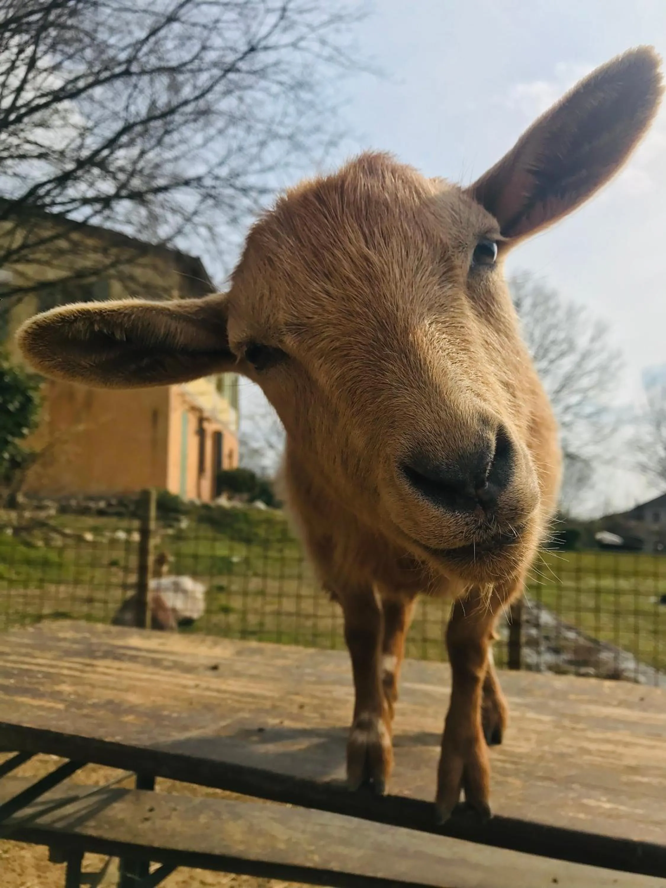 Agriturismo La Montina