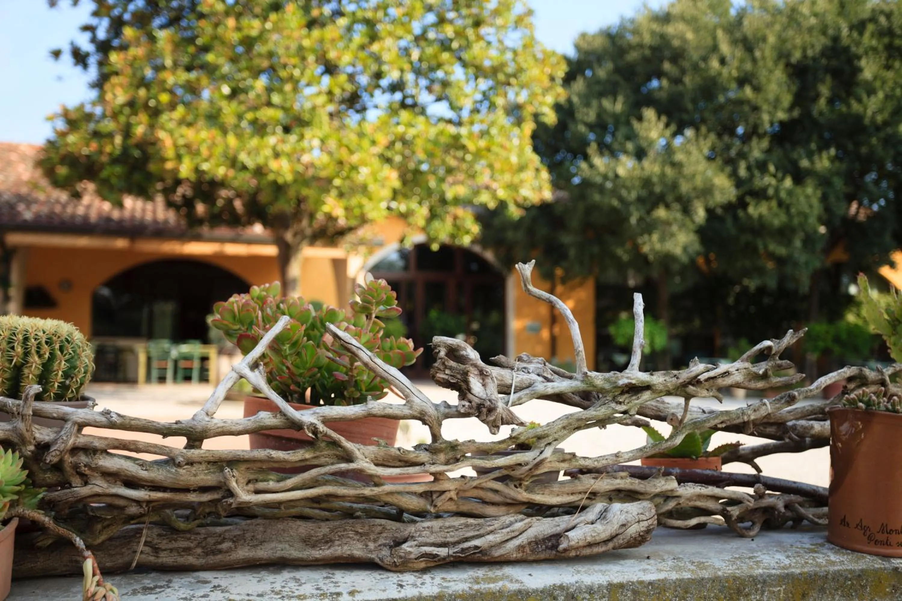 Agriturismo La Montina