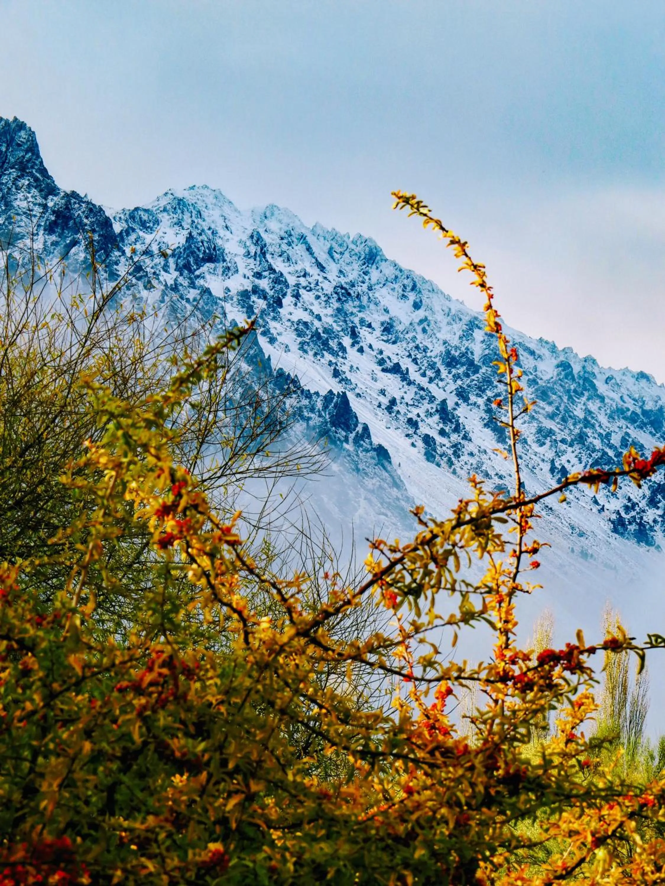 Garden view in La Aguada