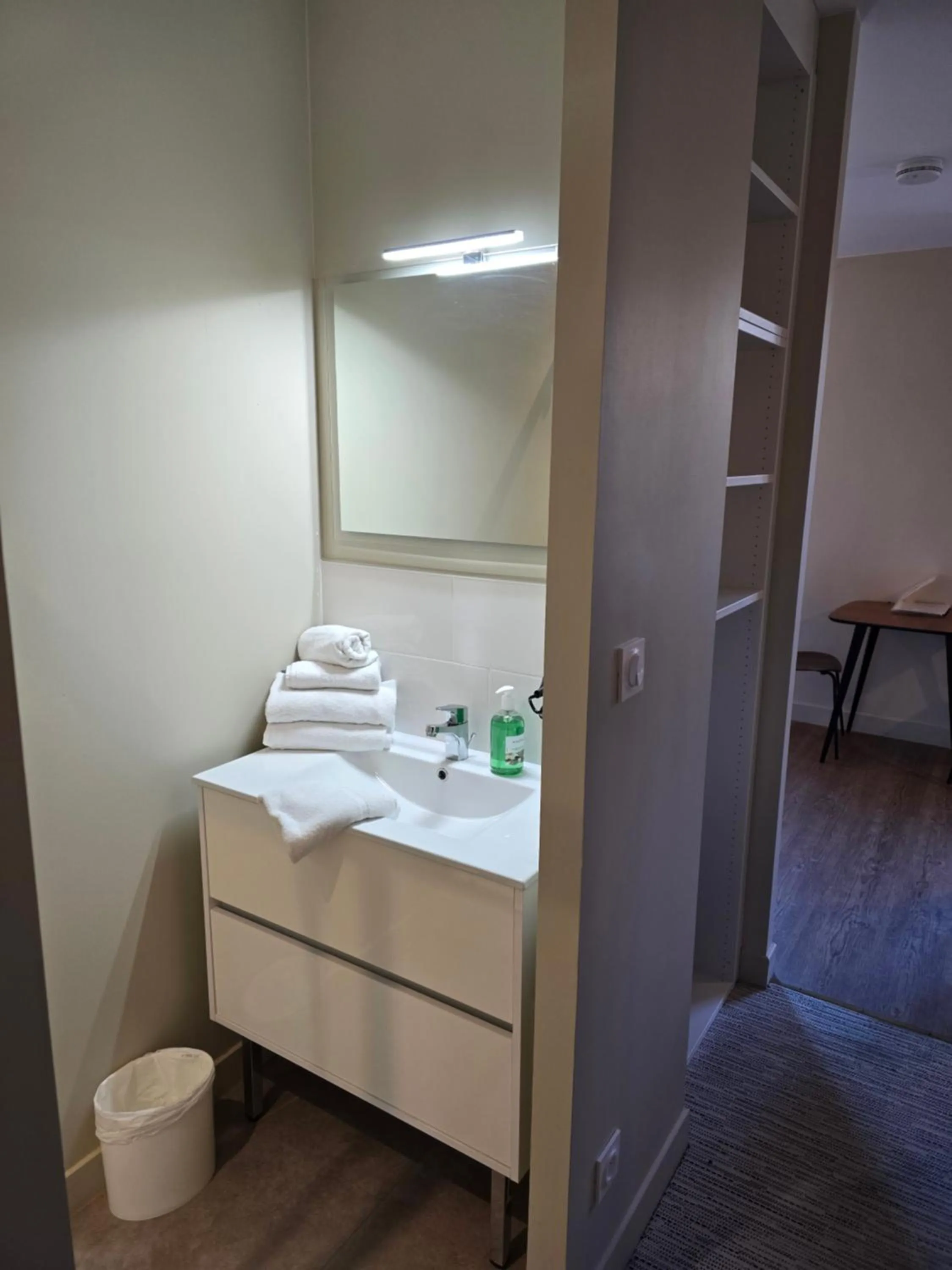 Bathroom in Au Loup Historic Apartments