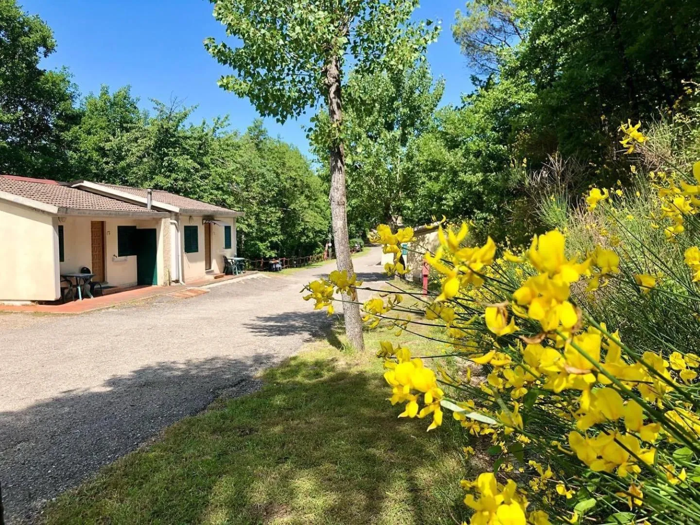 Other in Camping Village Mugello Verde