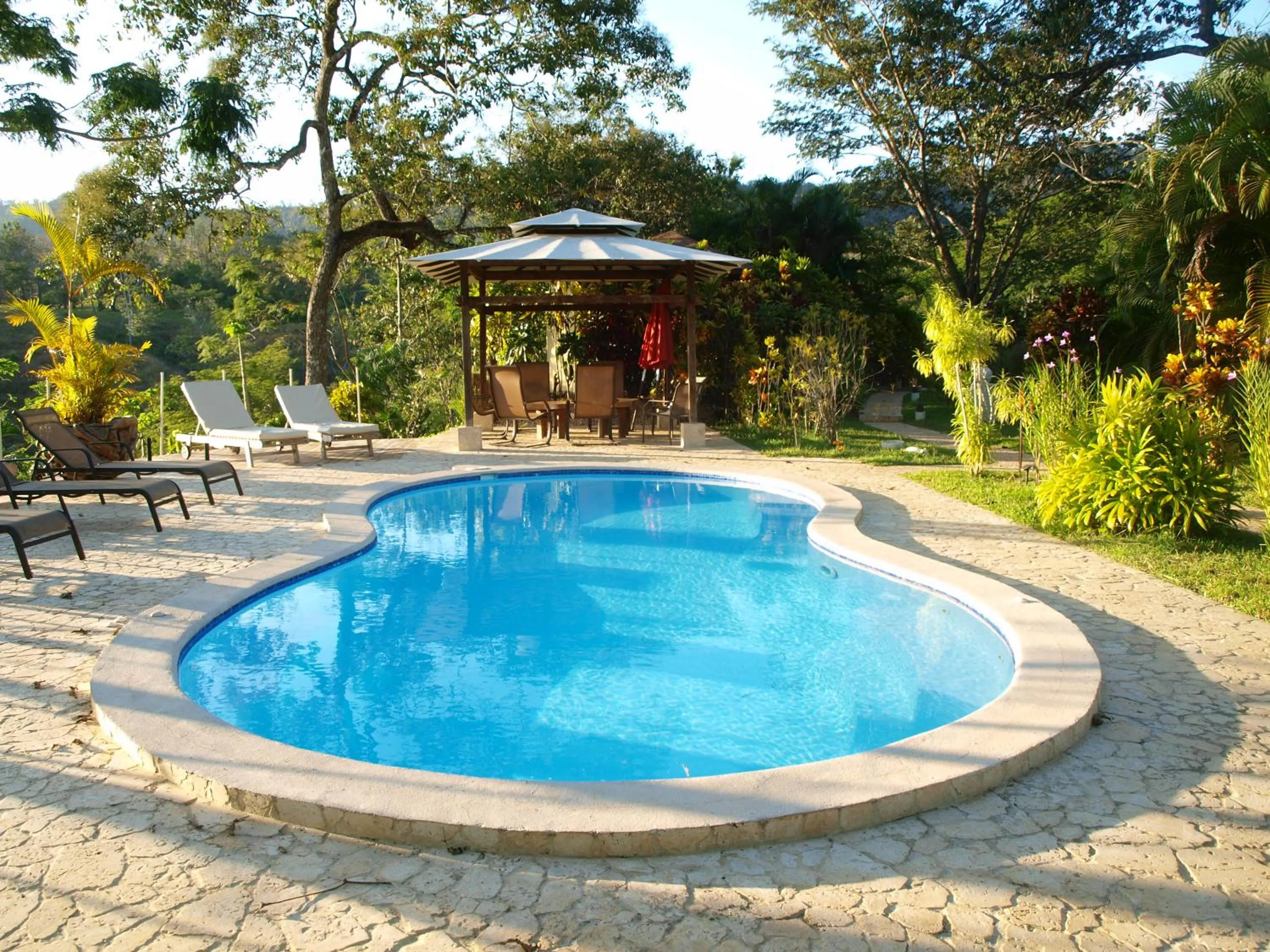 Swimming pool in Lodge Margouillat