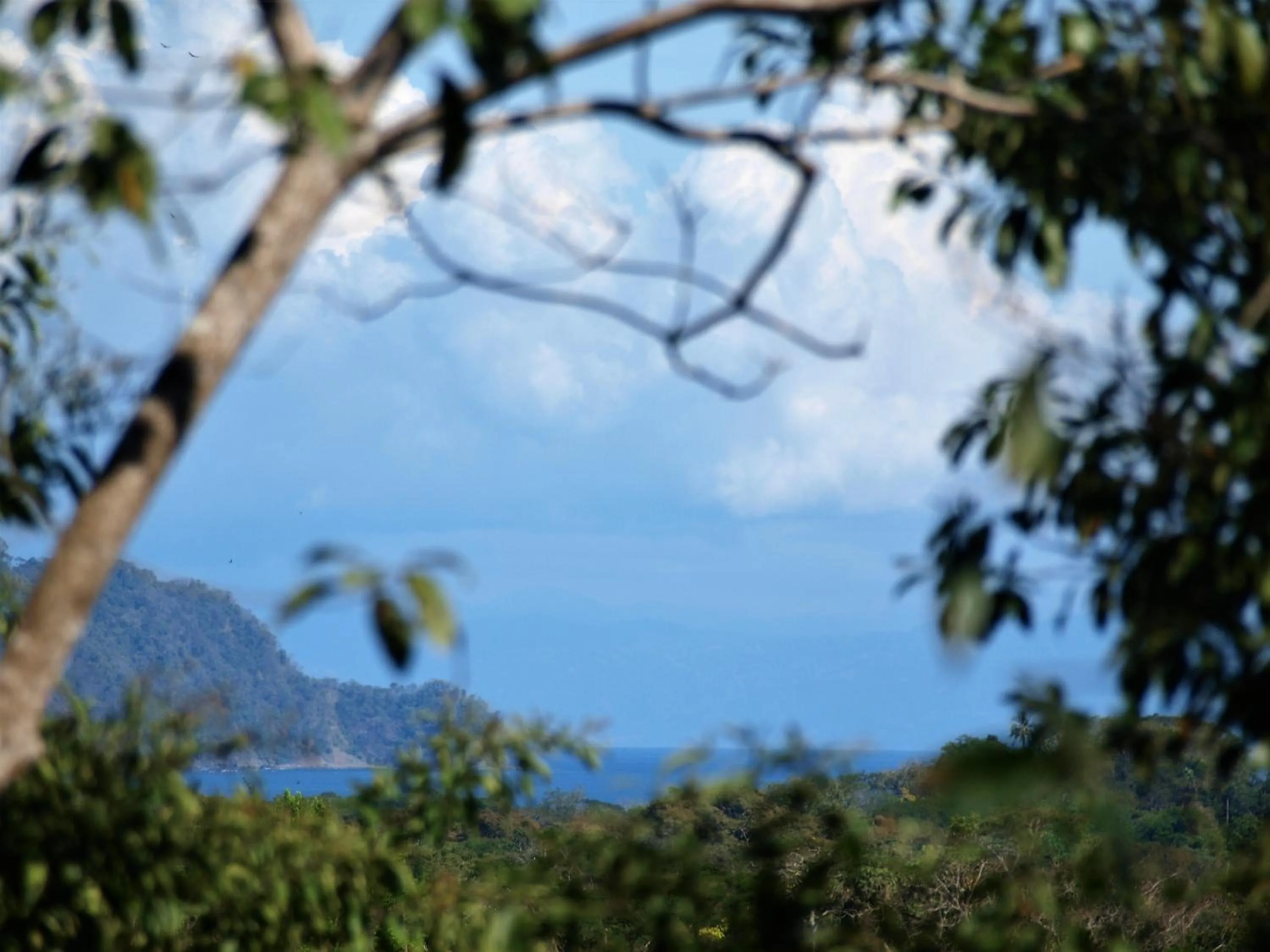 On site in Lodge Margouillat