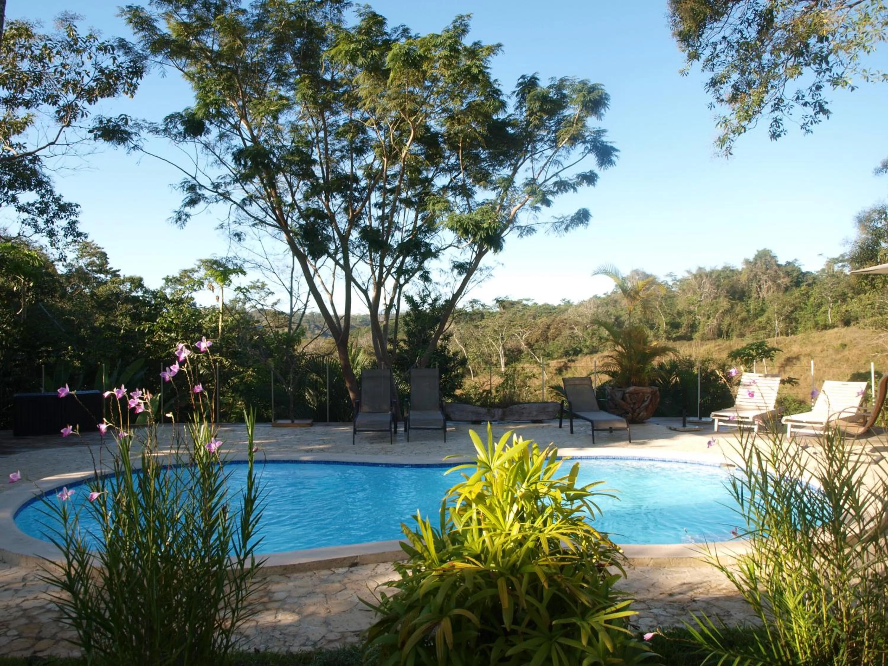 Swimming pool in Lodge Margouillat