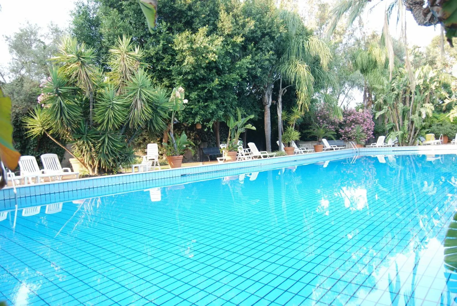Swimming pool in Garden Hotel