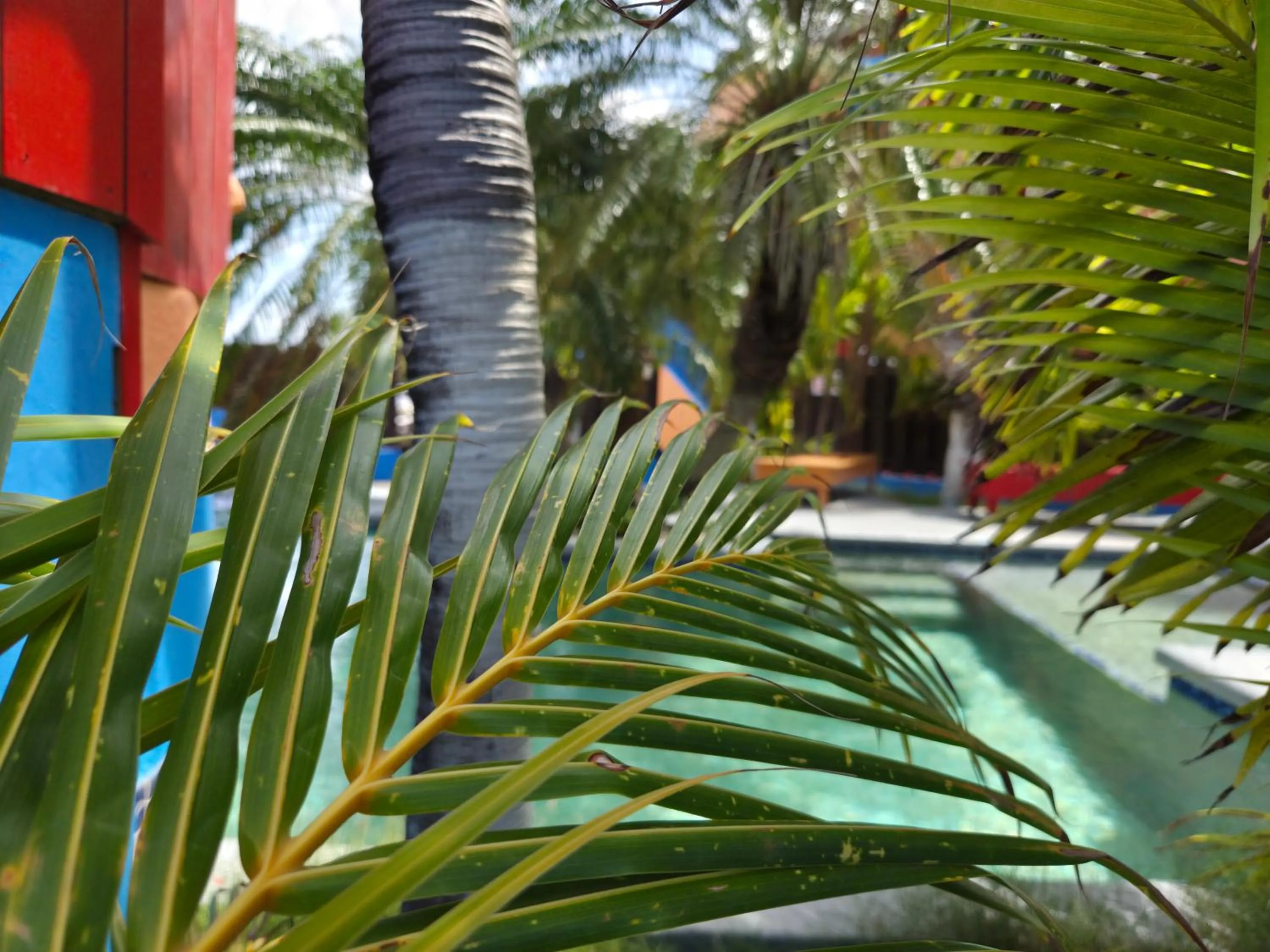 Nos Krusero Apartments