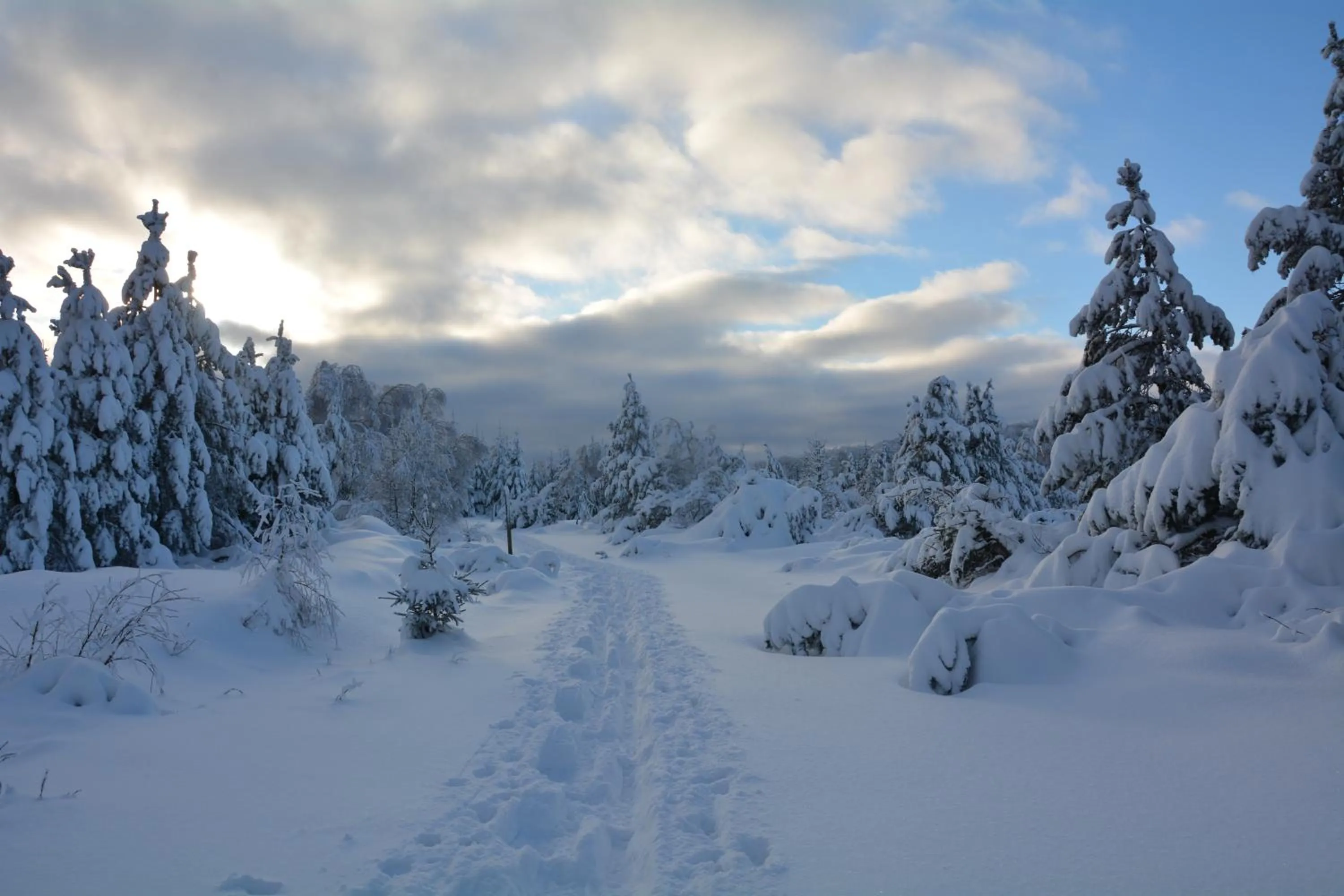 Winter in Waldgasthof Bad Einsiedel