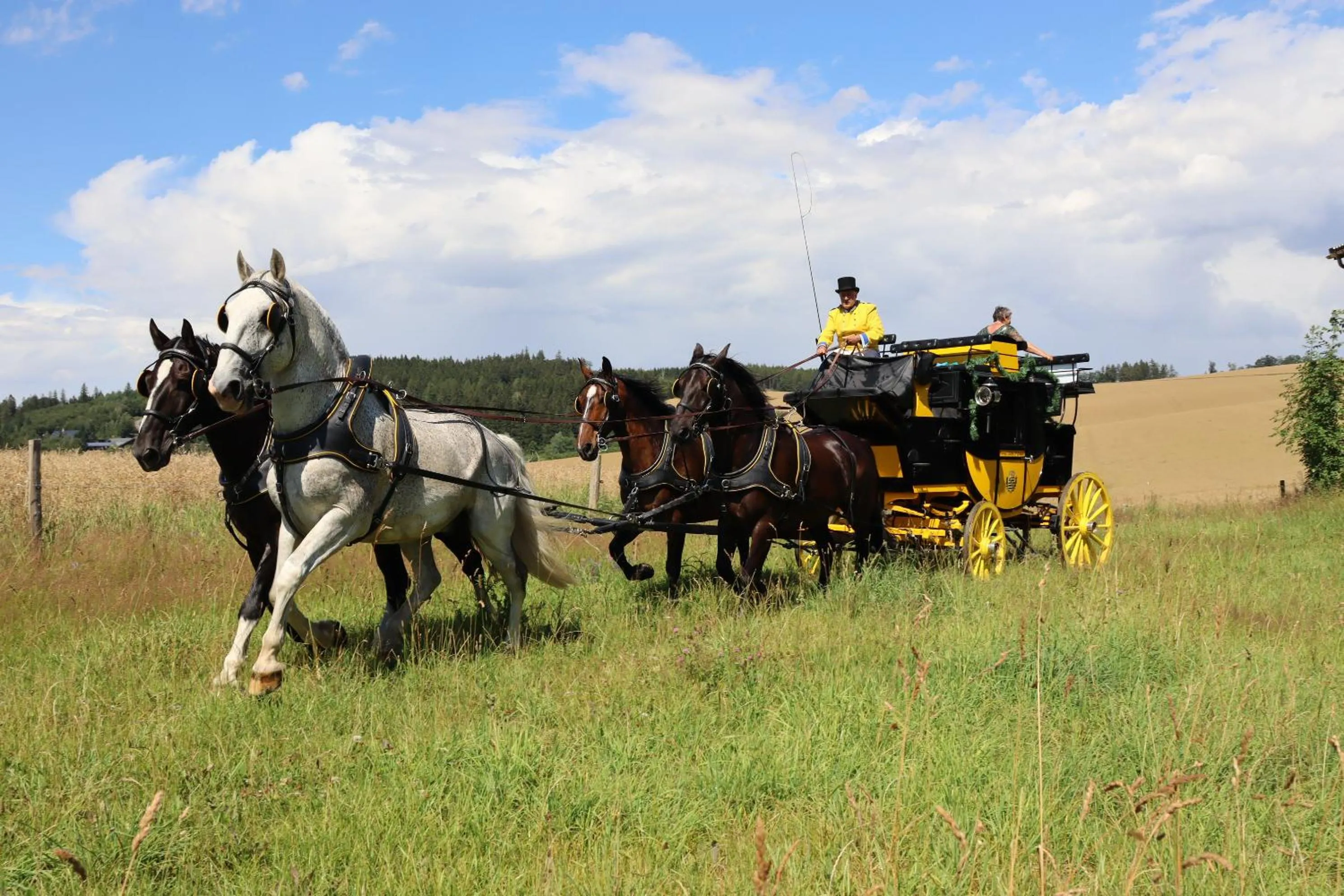 Animals in Waldgasthof Bad Einsiedel