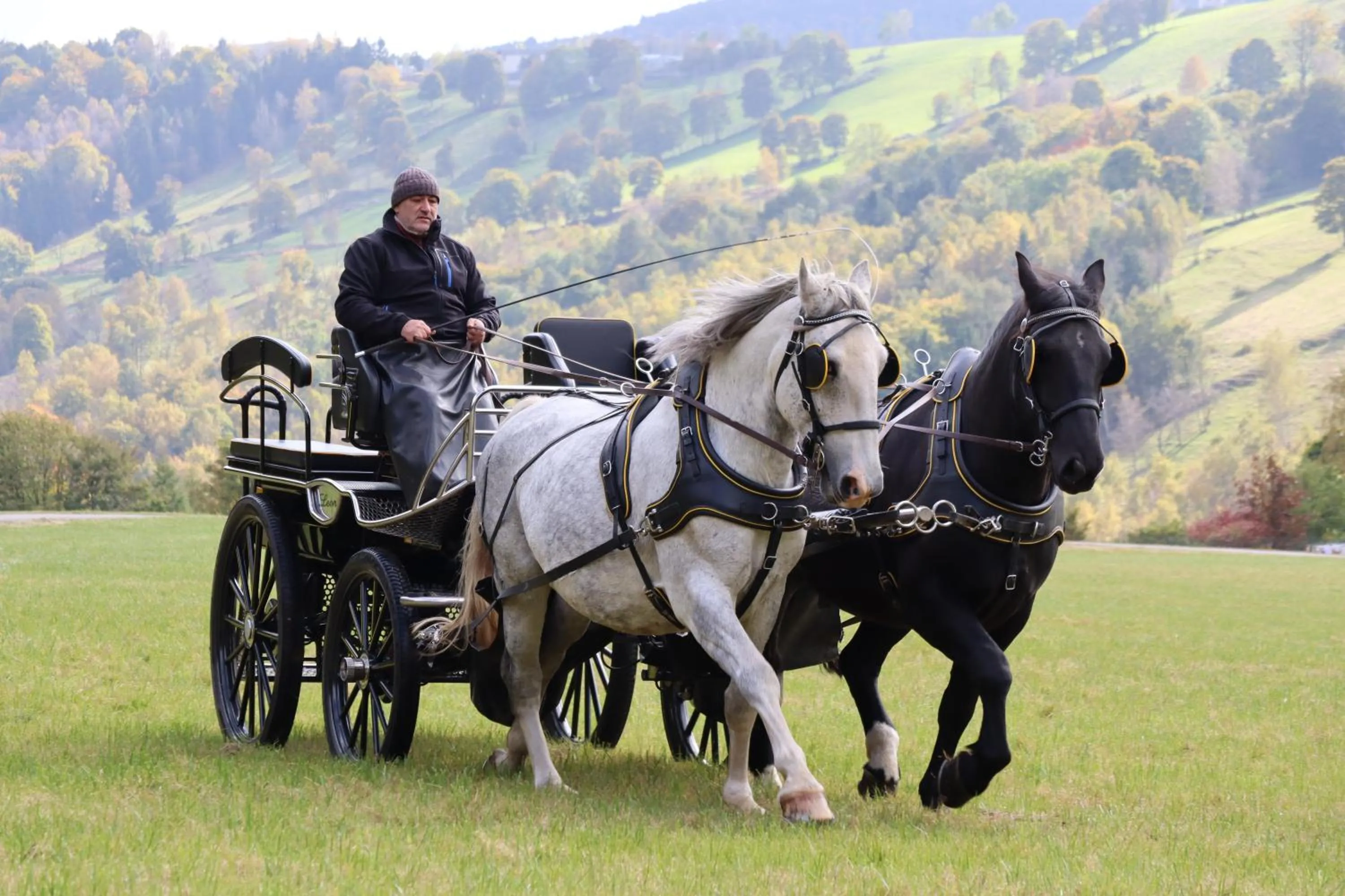 Animals in Waldgasthof Bad Einsiedel