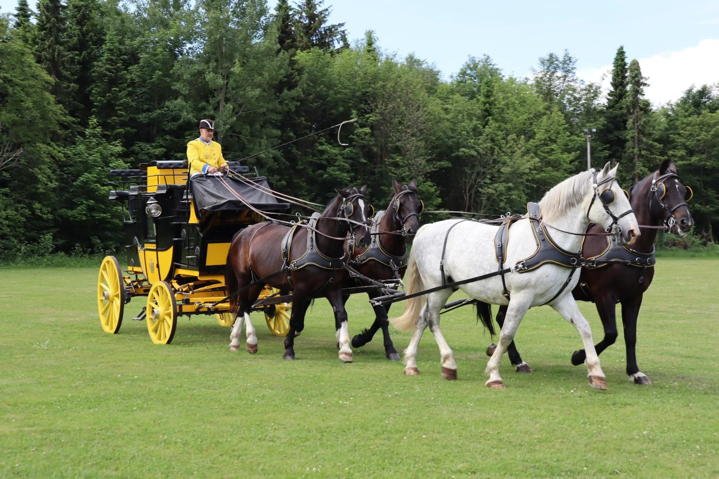 Summer in Waldgasthof Bad Einsiedel