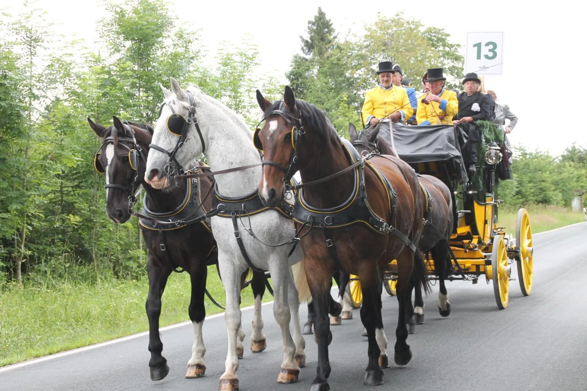 Animals in Waldgasthof Bad Einsiedel