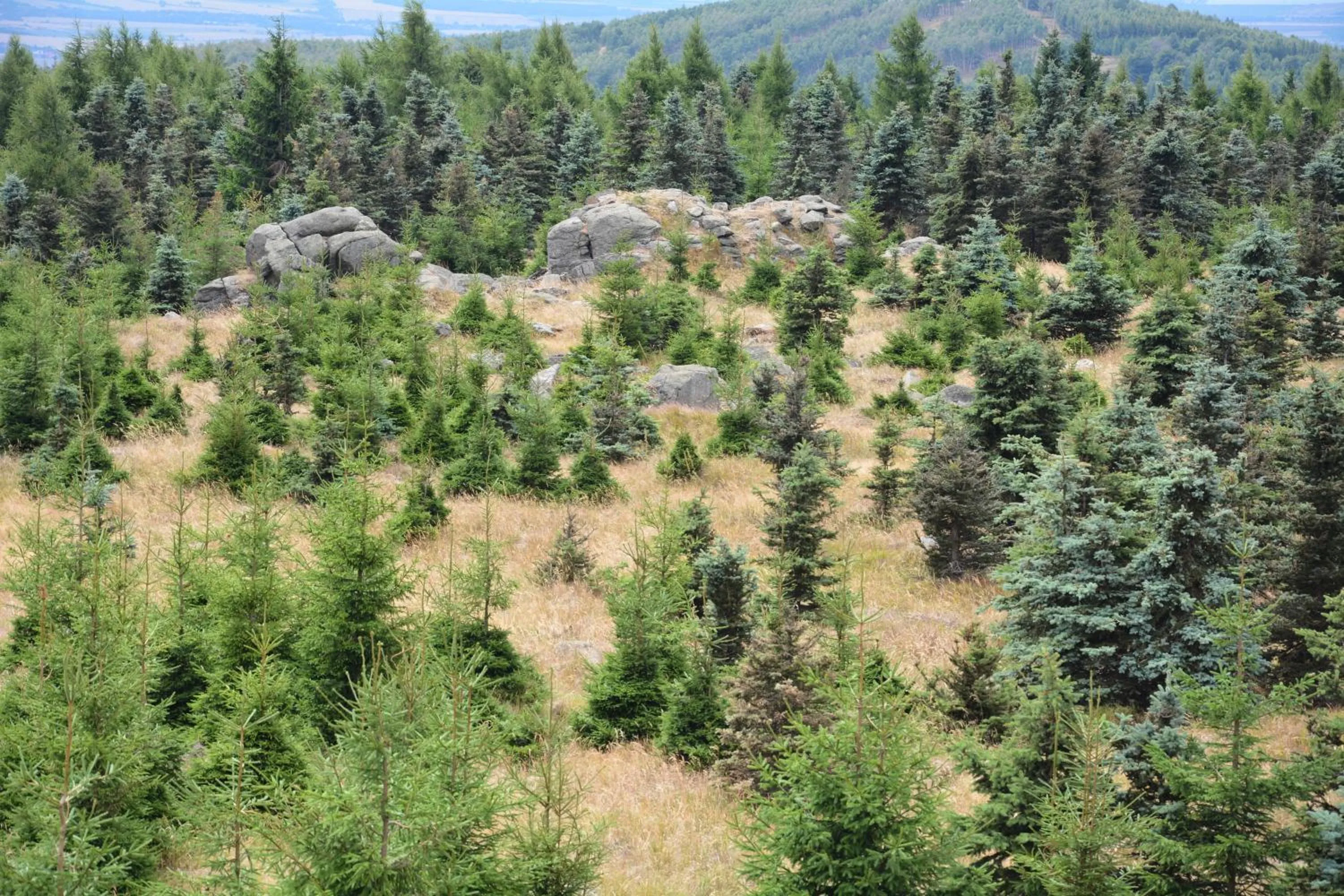 Hiking in Waldgasthof Bad Einsiedel