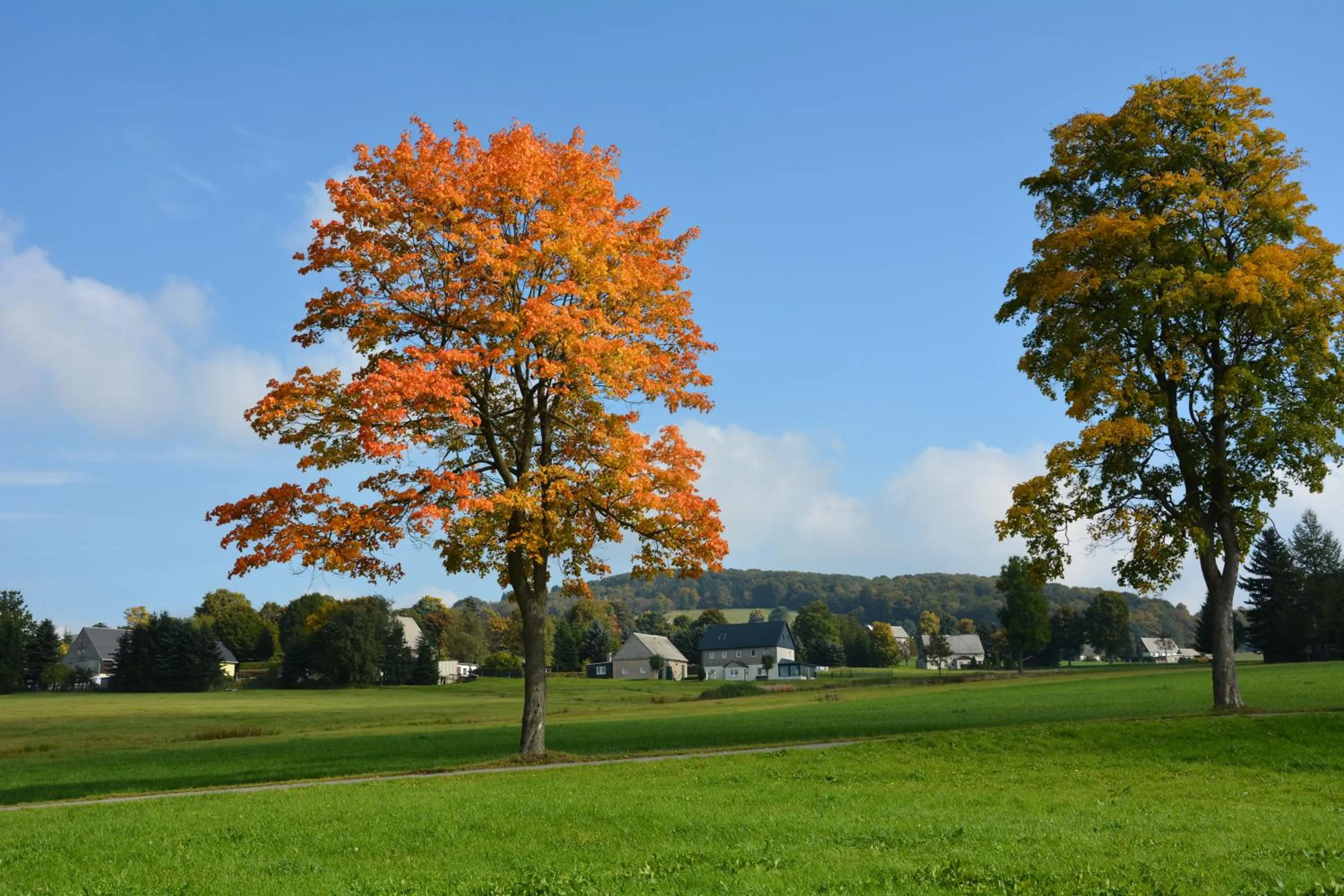 Hiking in Waldgasthof Bad Einsiedel