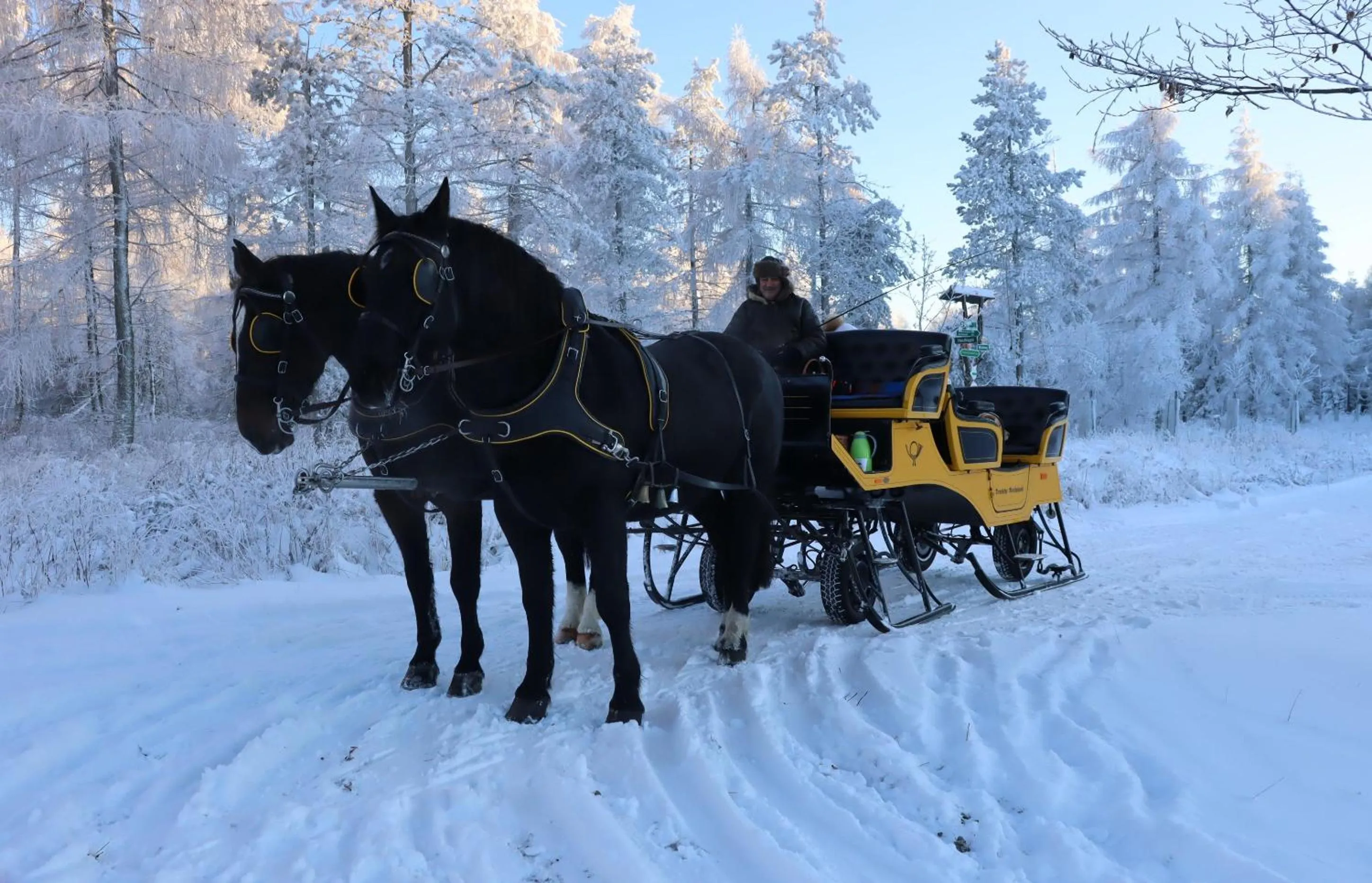 Winter in Waldgasthof Bad Einsiedel