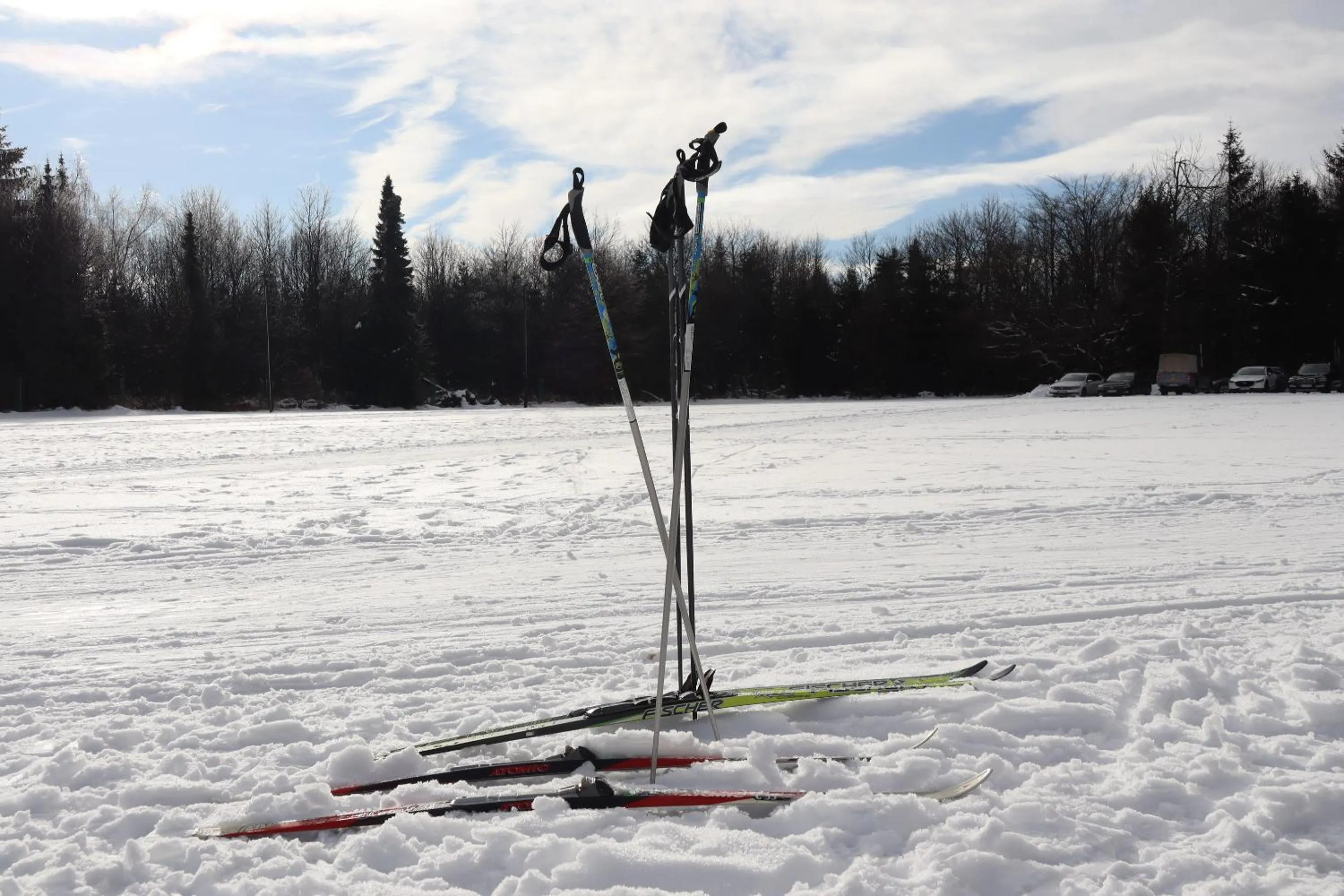 Winter in Waldgasthof Bad Einsiedel