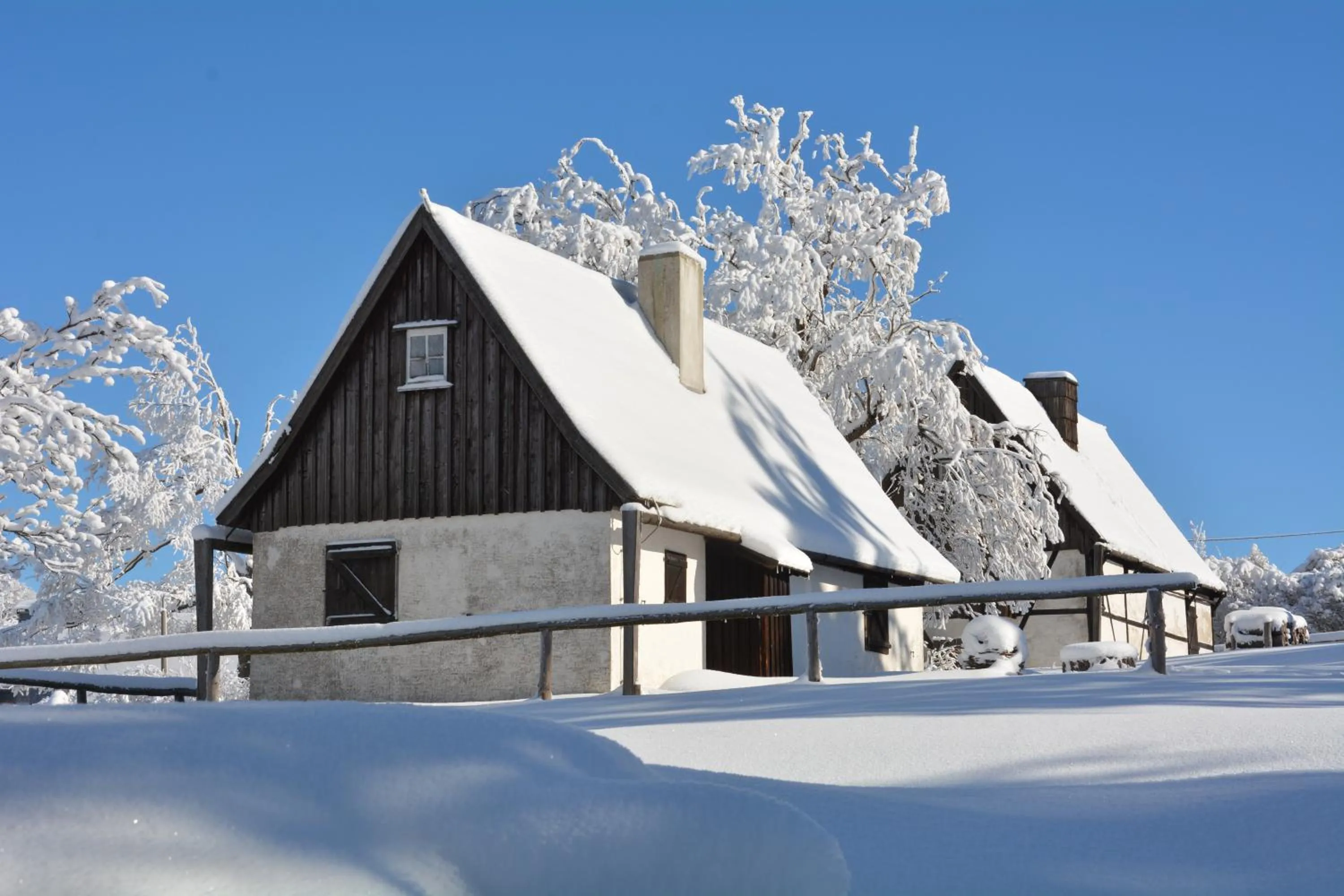 Winter in Waldgasthof Bad Einsiedel