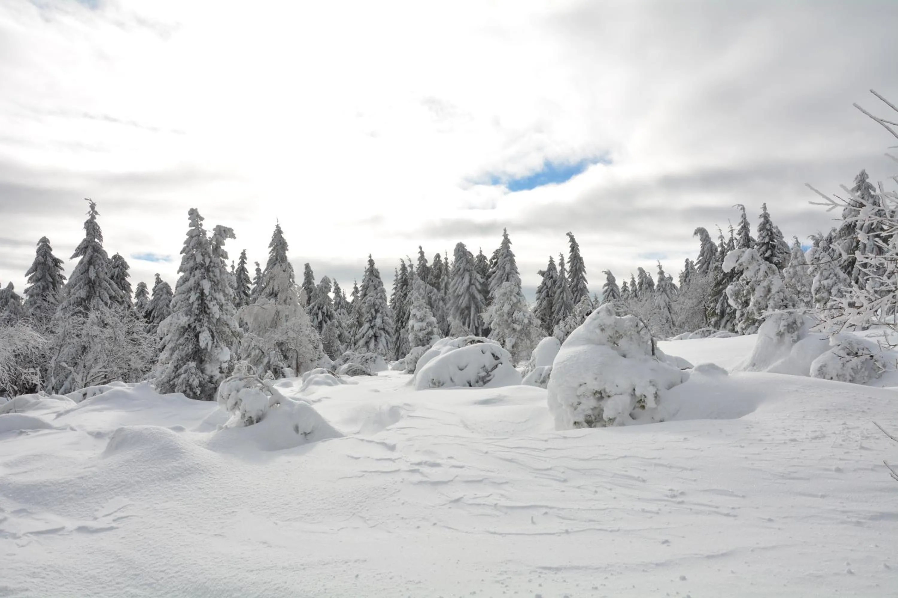 Winter in Waldgasthof Bad Einsiedel