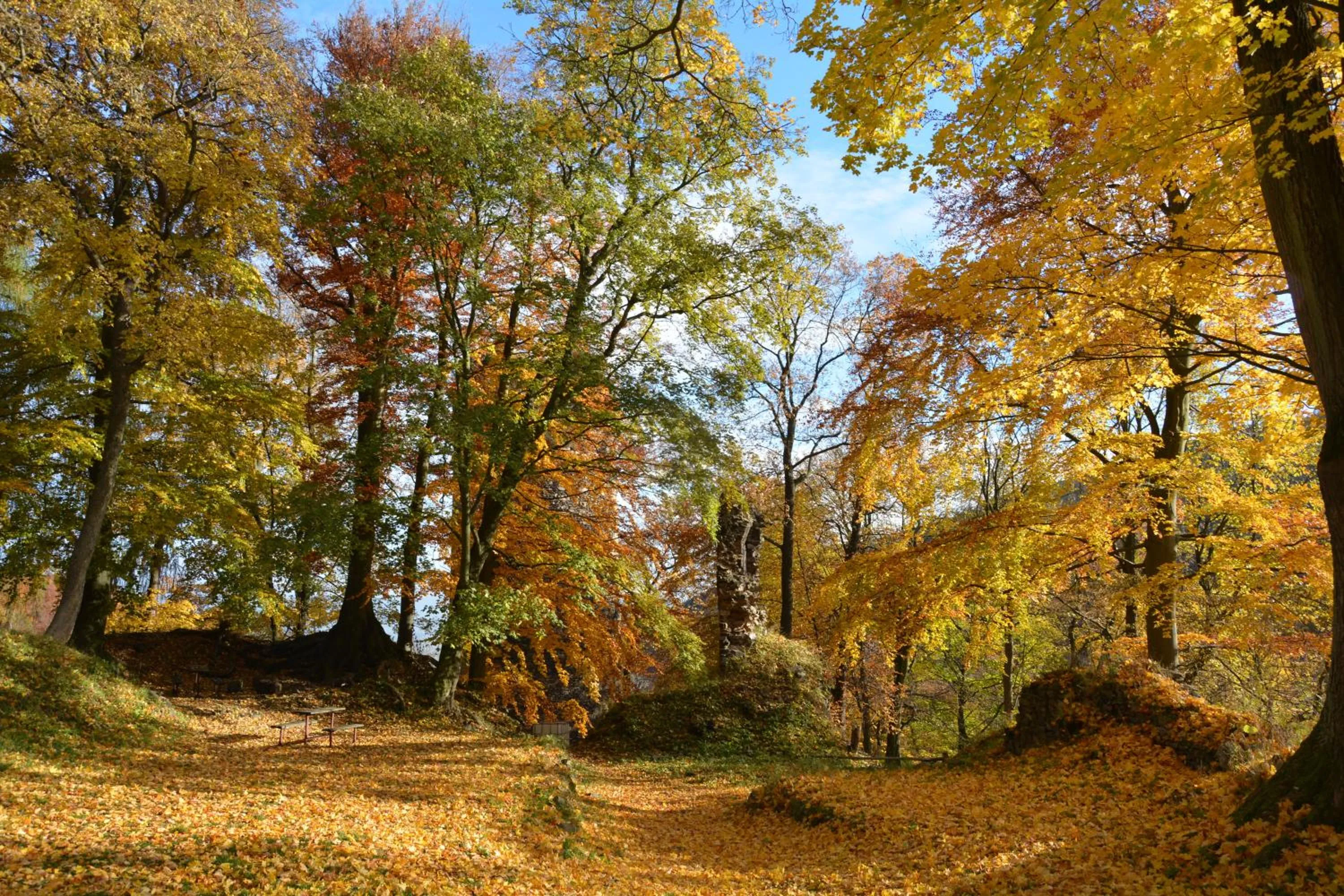 Hiking in Waldgasthof Bad Einsiedel