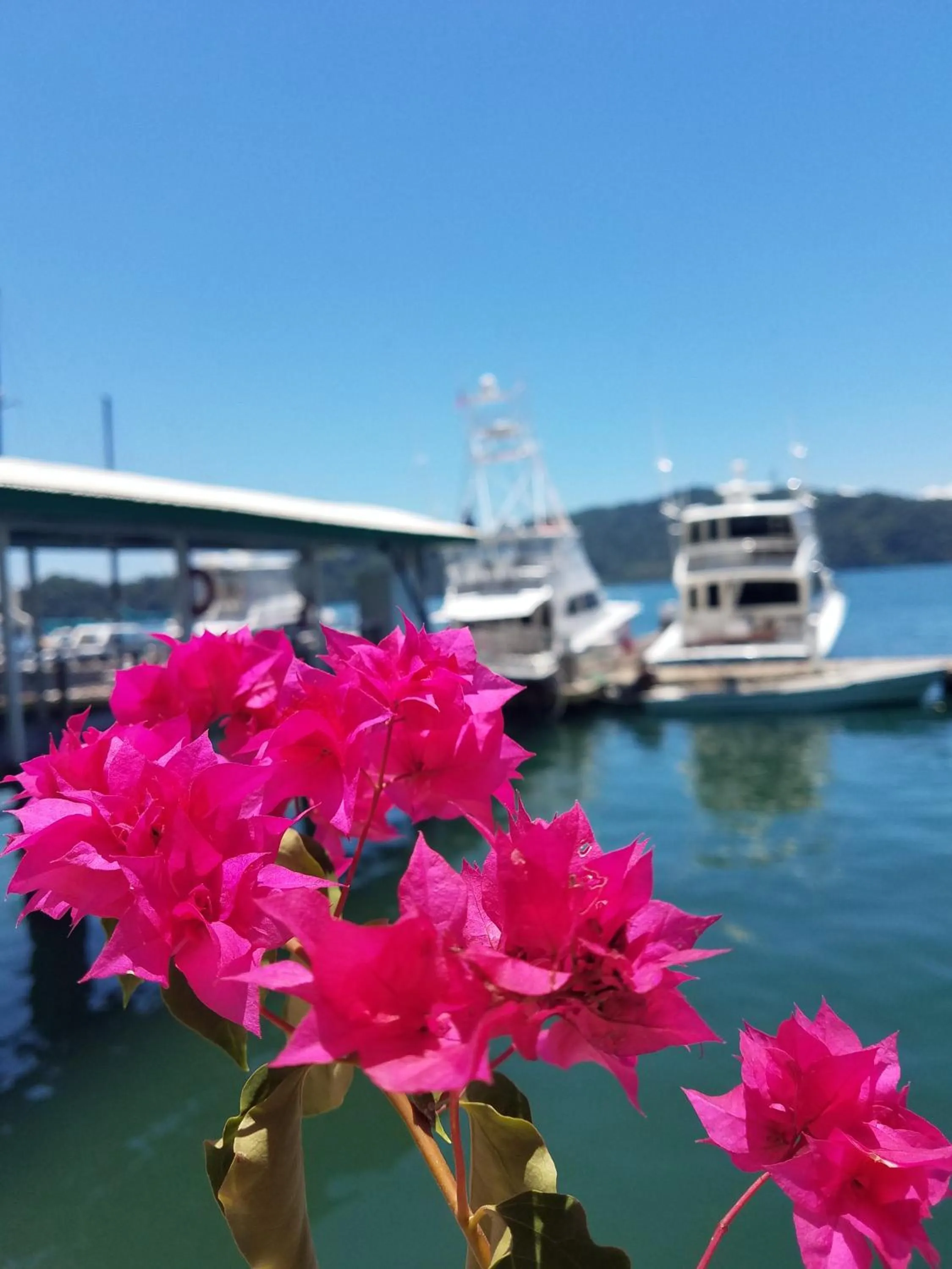 Natural landscape in Banana Bay Marina