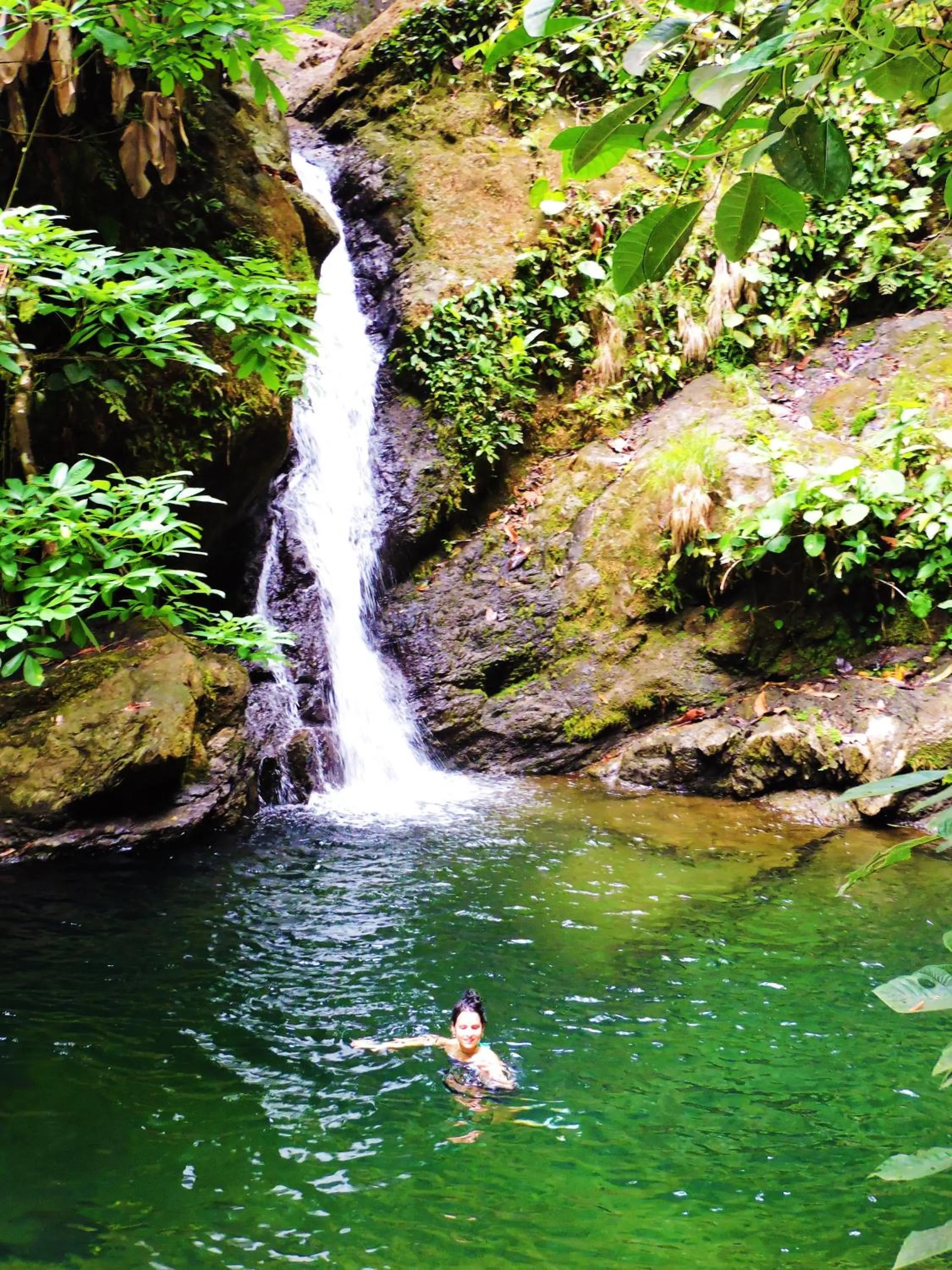 Natural landscape in Banana Bay Marina