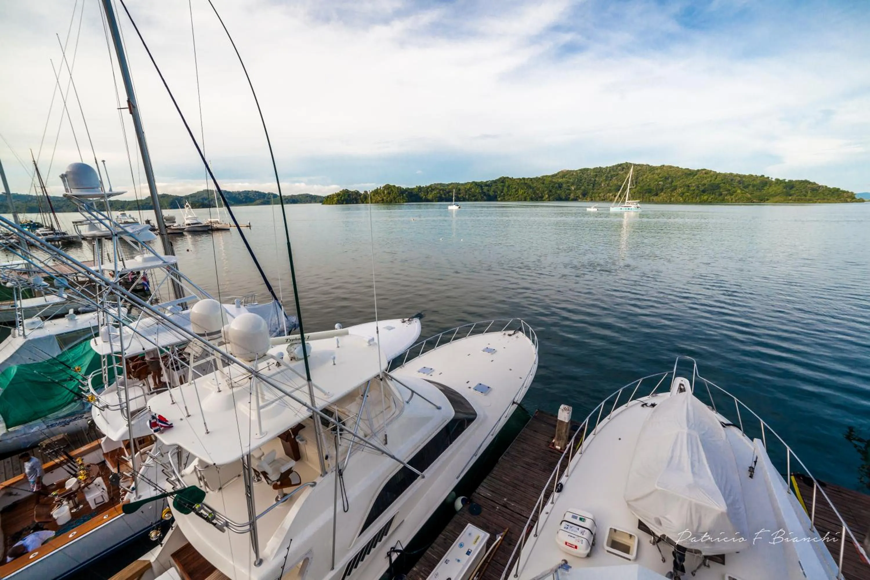 Natural landscape in Banana Bay Marina